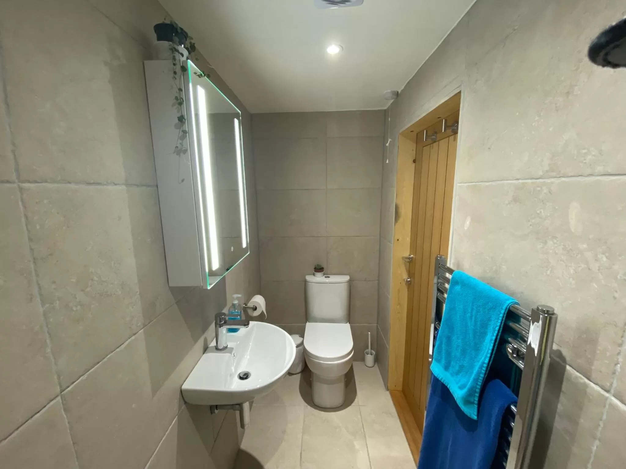 Shower, Bathroom in Agapanthus Bed & Breakfast - Fraddam