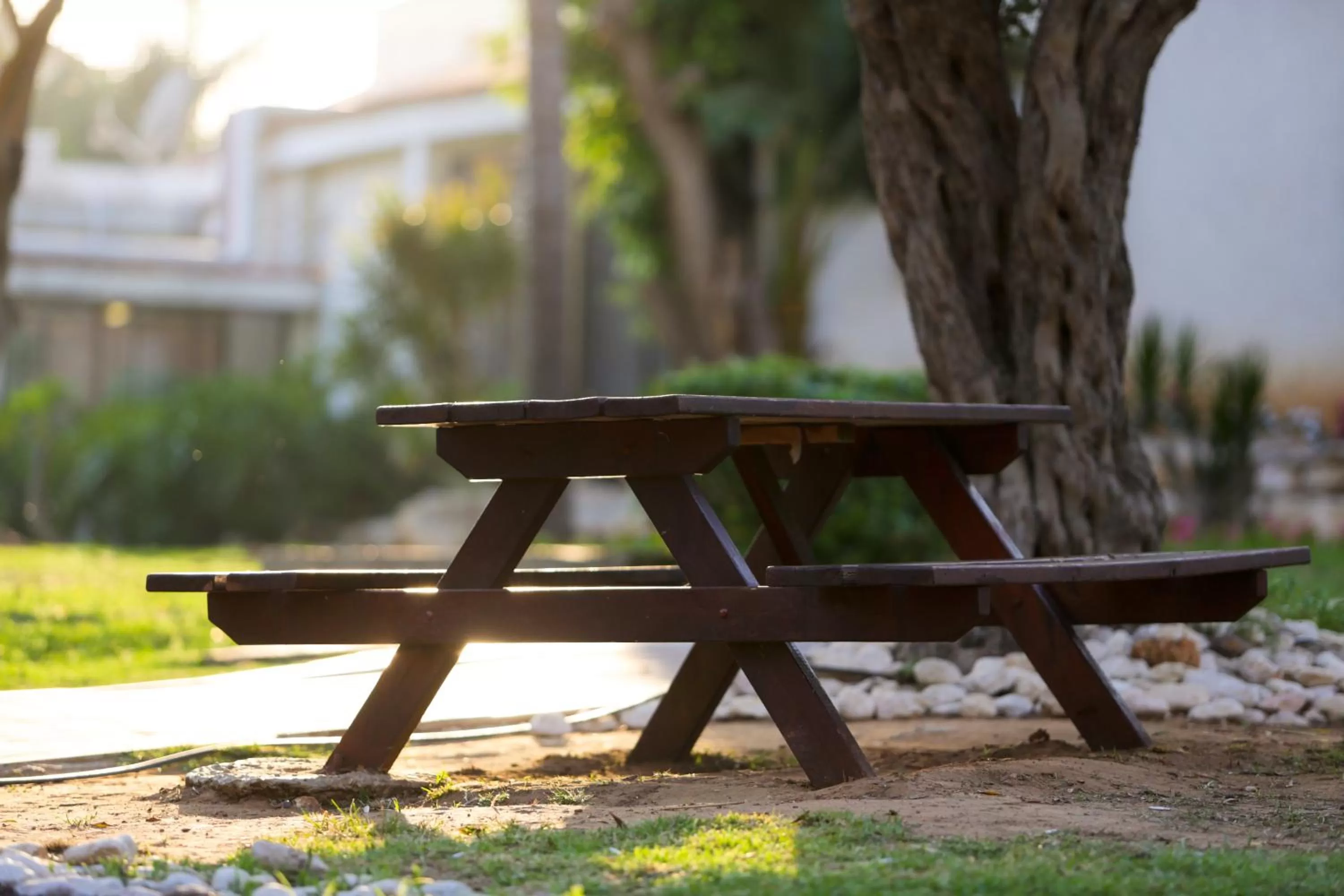 Area and facilities in Eden Inn
