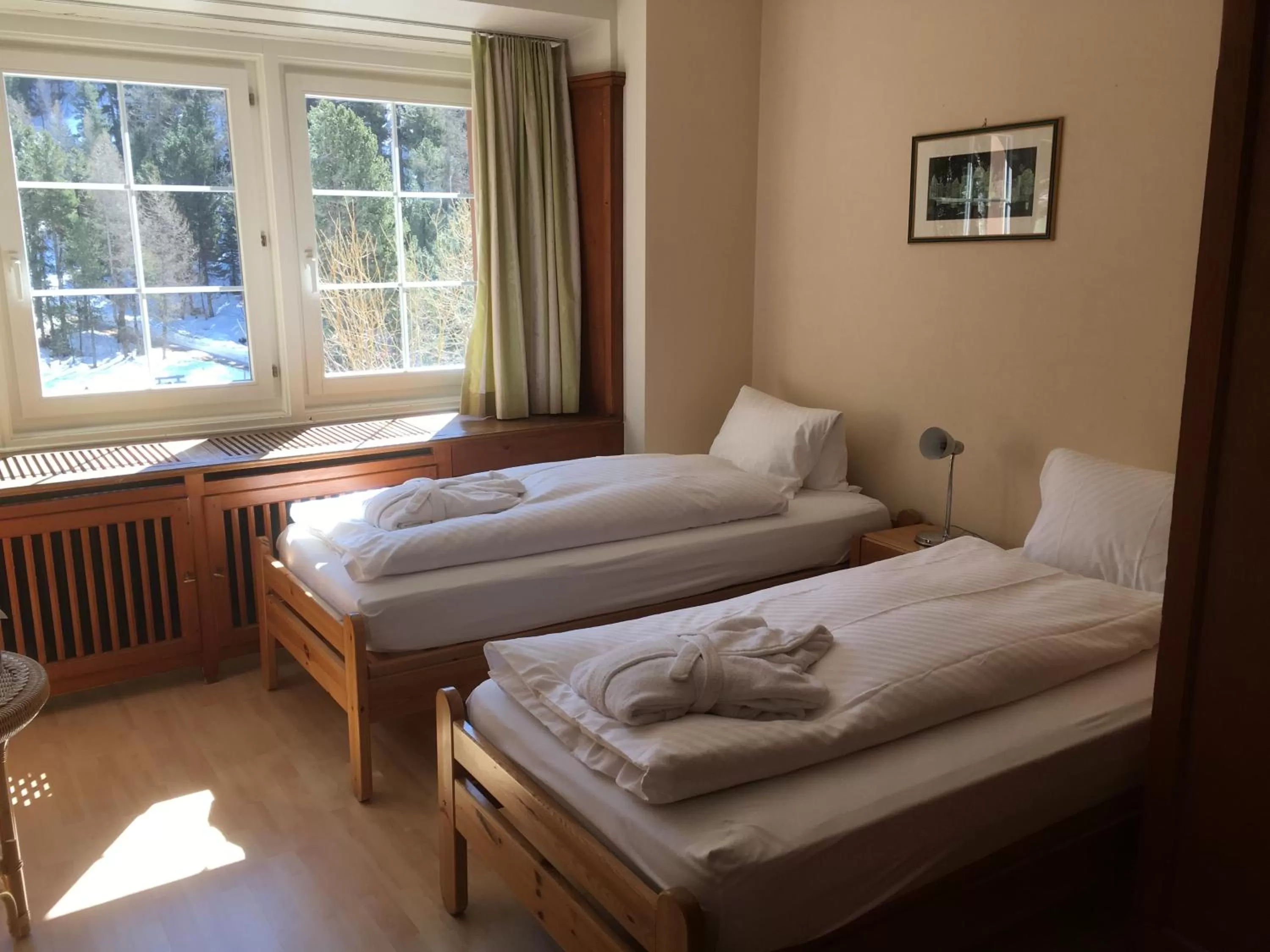 Standard Twin Room with Shared Bathroom in Hotel Chesa Spuondas