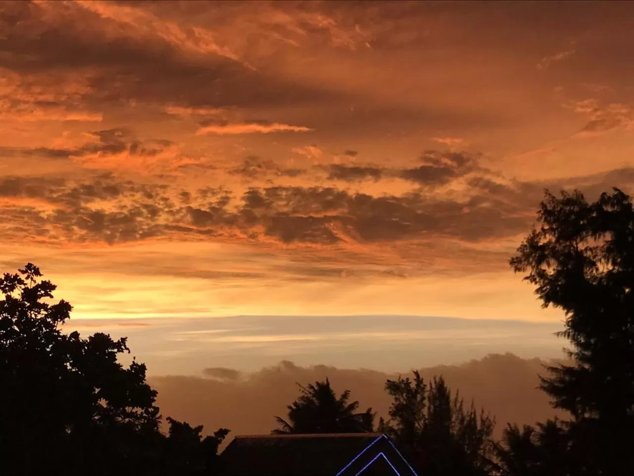 Beach in Surfrider Resort Hotel