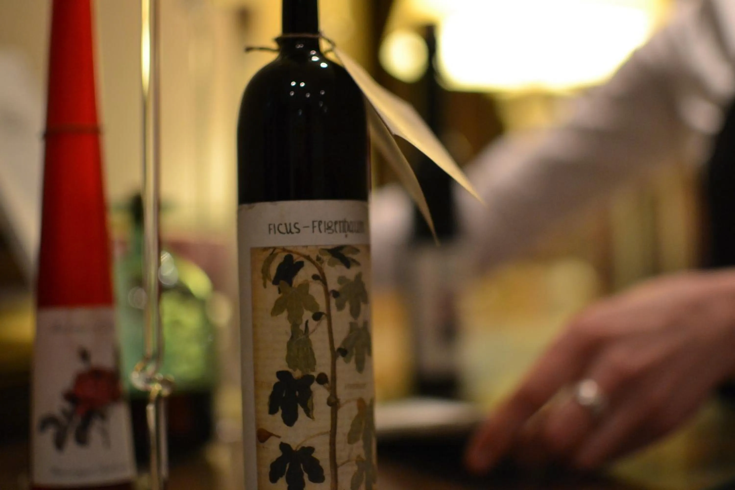 Other in Rhein-Hotel Nierstein