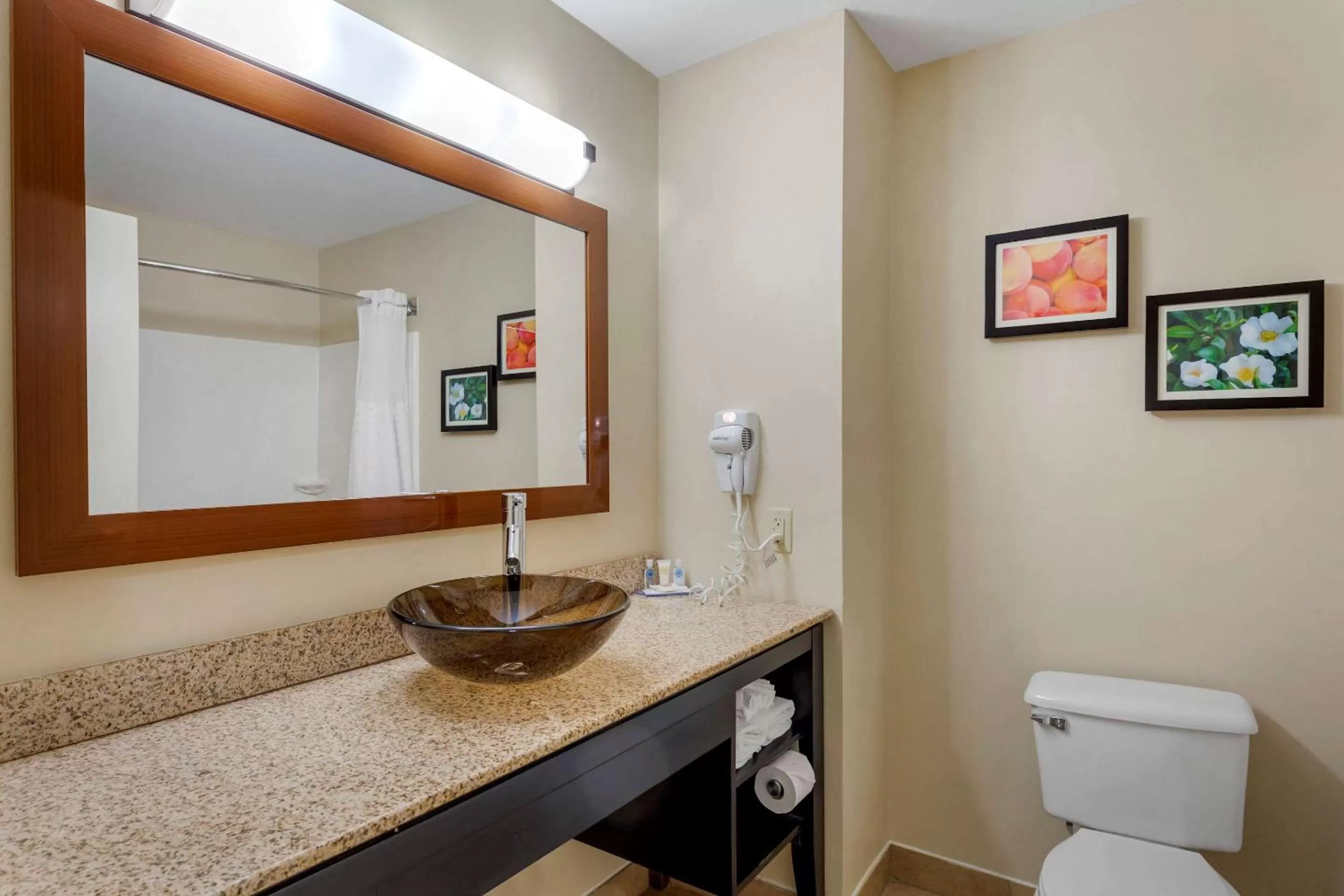 Bathroom in comfort & inn Suites
