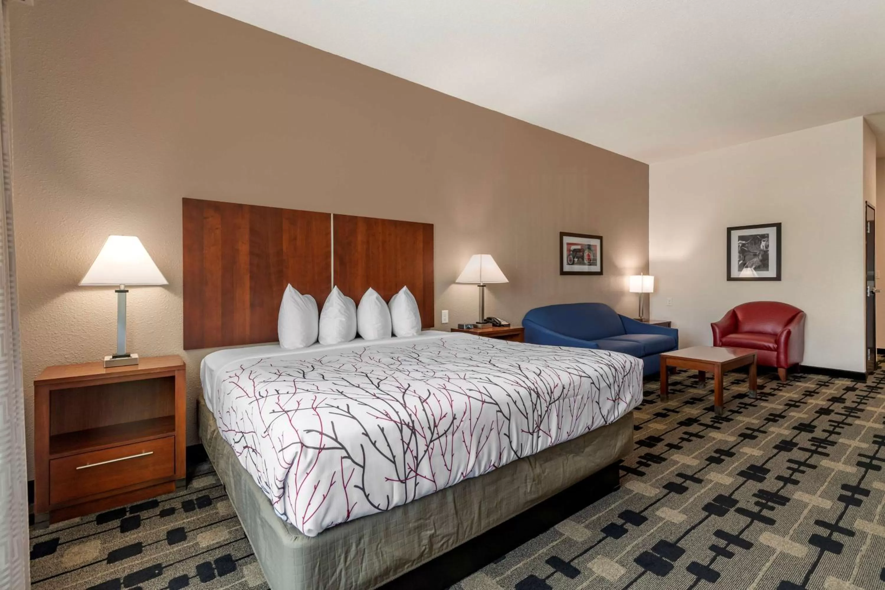 Other in Best Western Plus Big Lake Inn