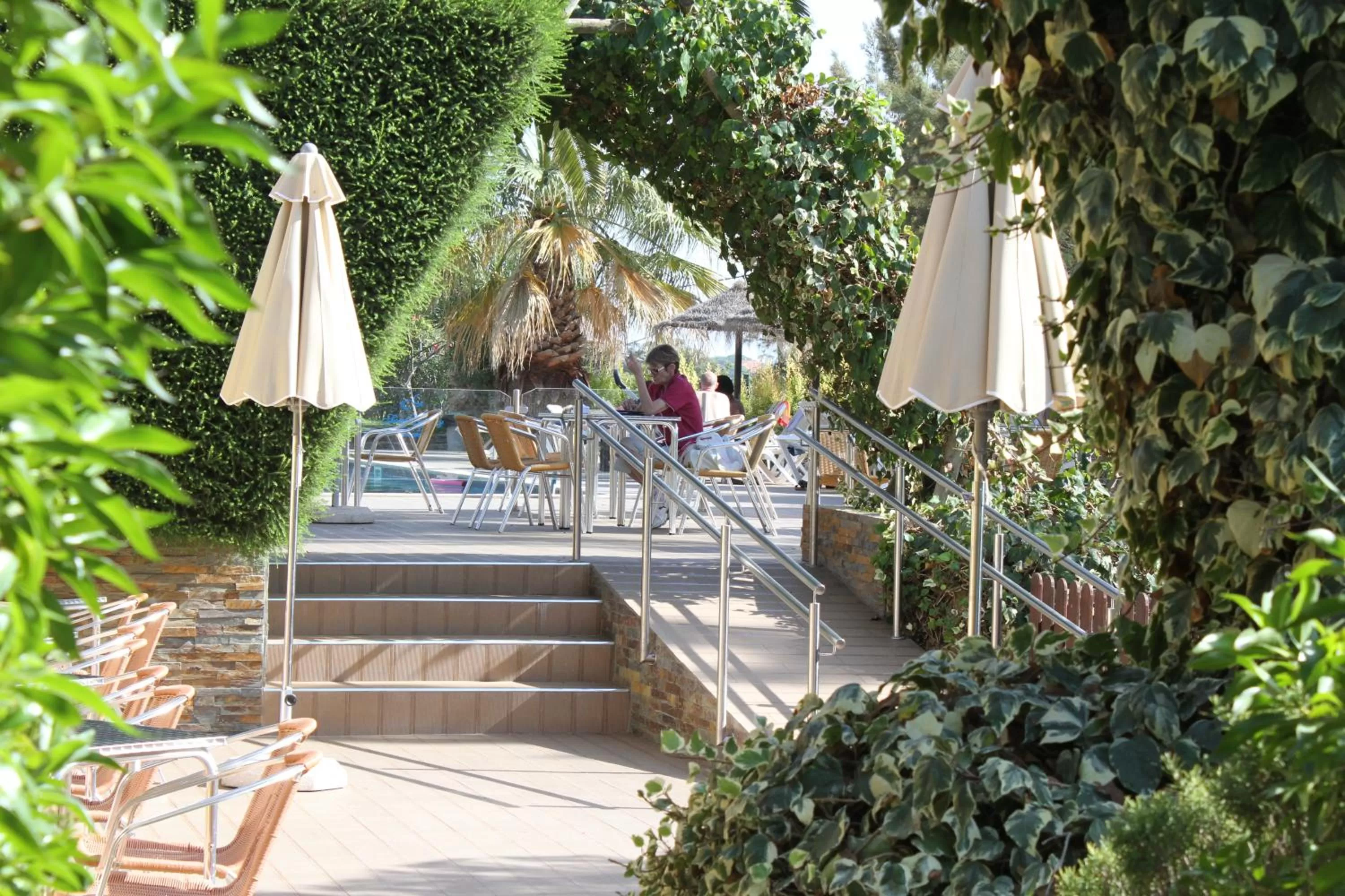 Balcony/Terrace in Hotel Pinhal do Sol