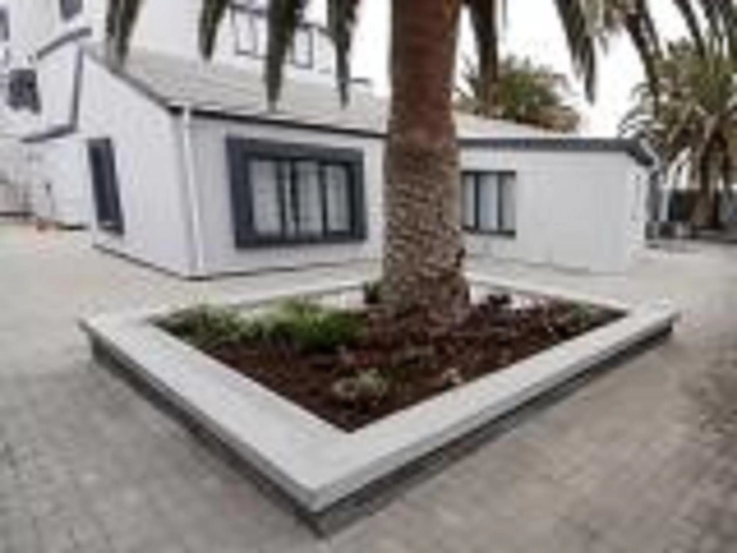 Garden in Guesthouse Indongo Swakopmund