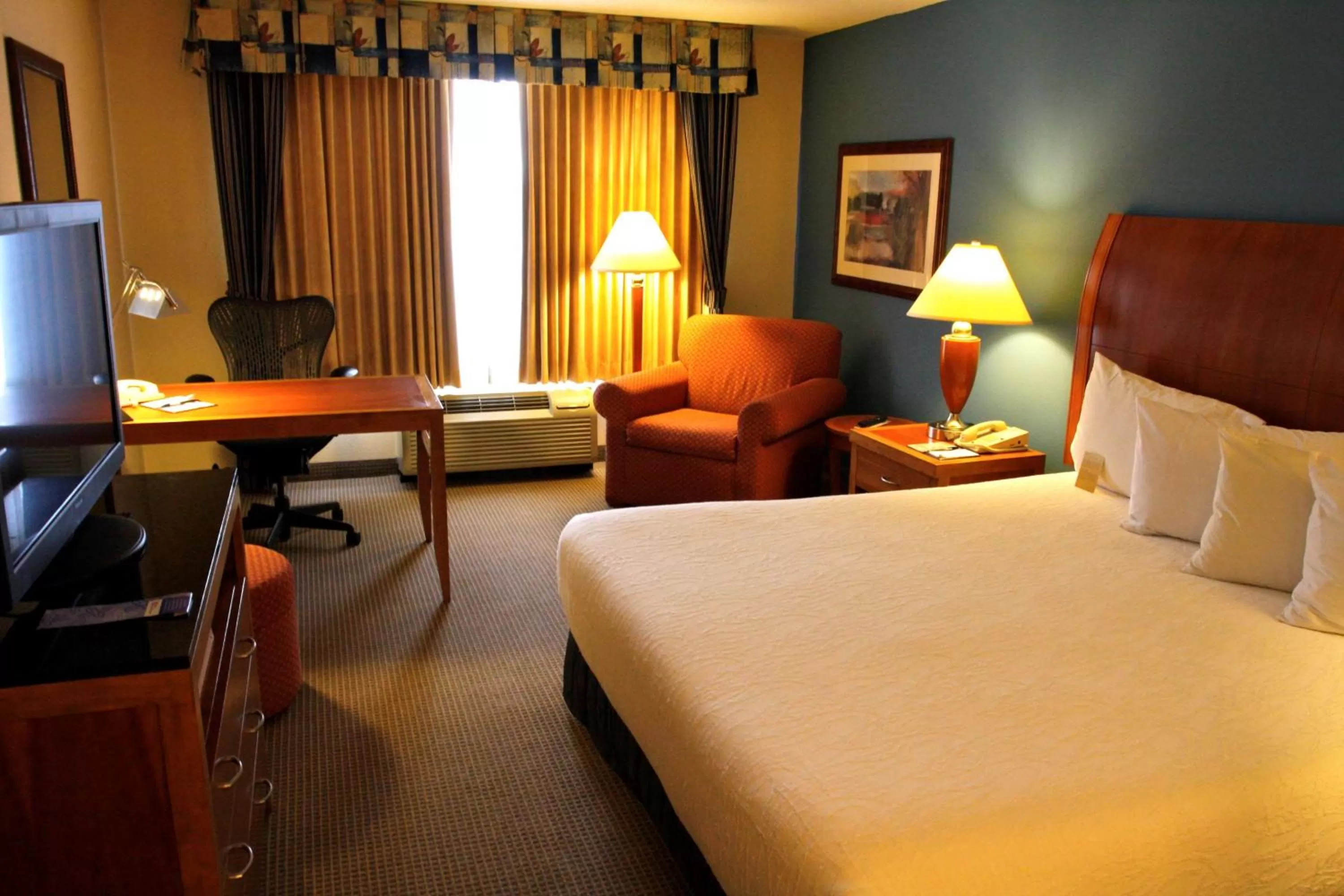 Deluxe King Room in Hilton Garden Inn Albany