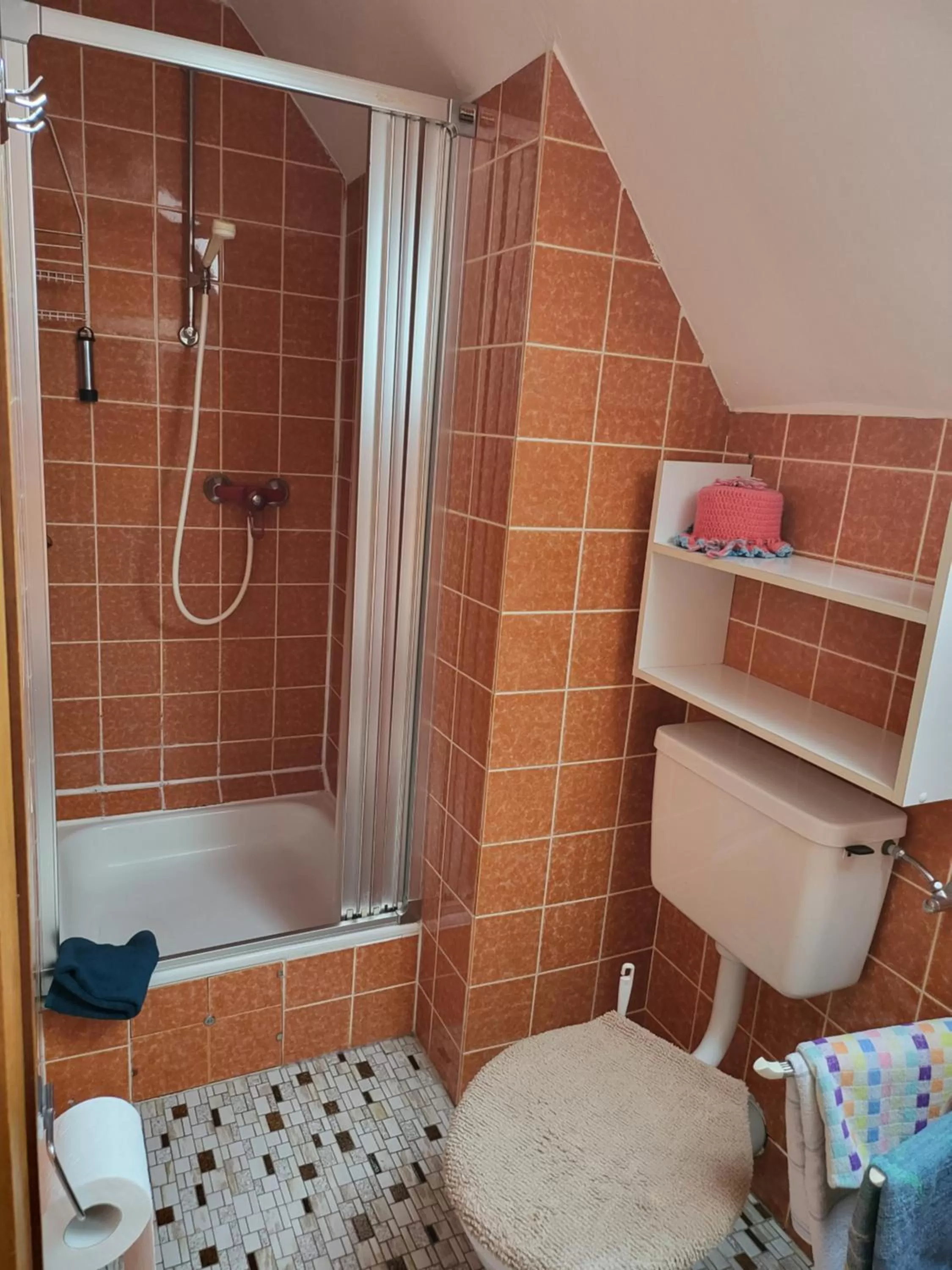 Shower in Hotel Zur Schanze
