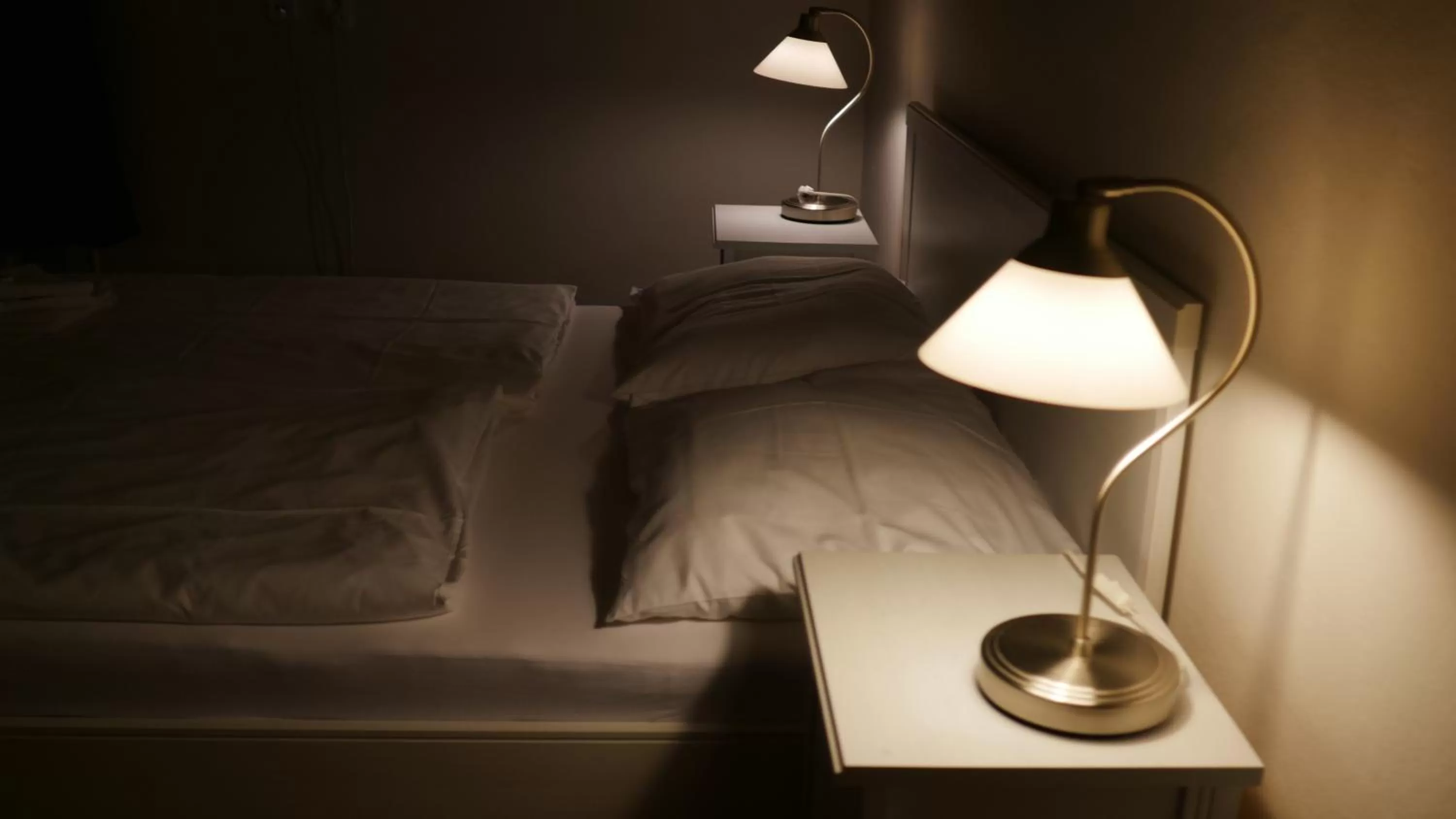 Bed in Hotel Bílý Koníček