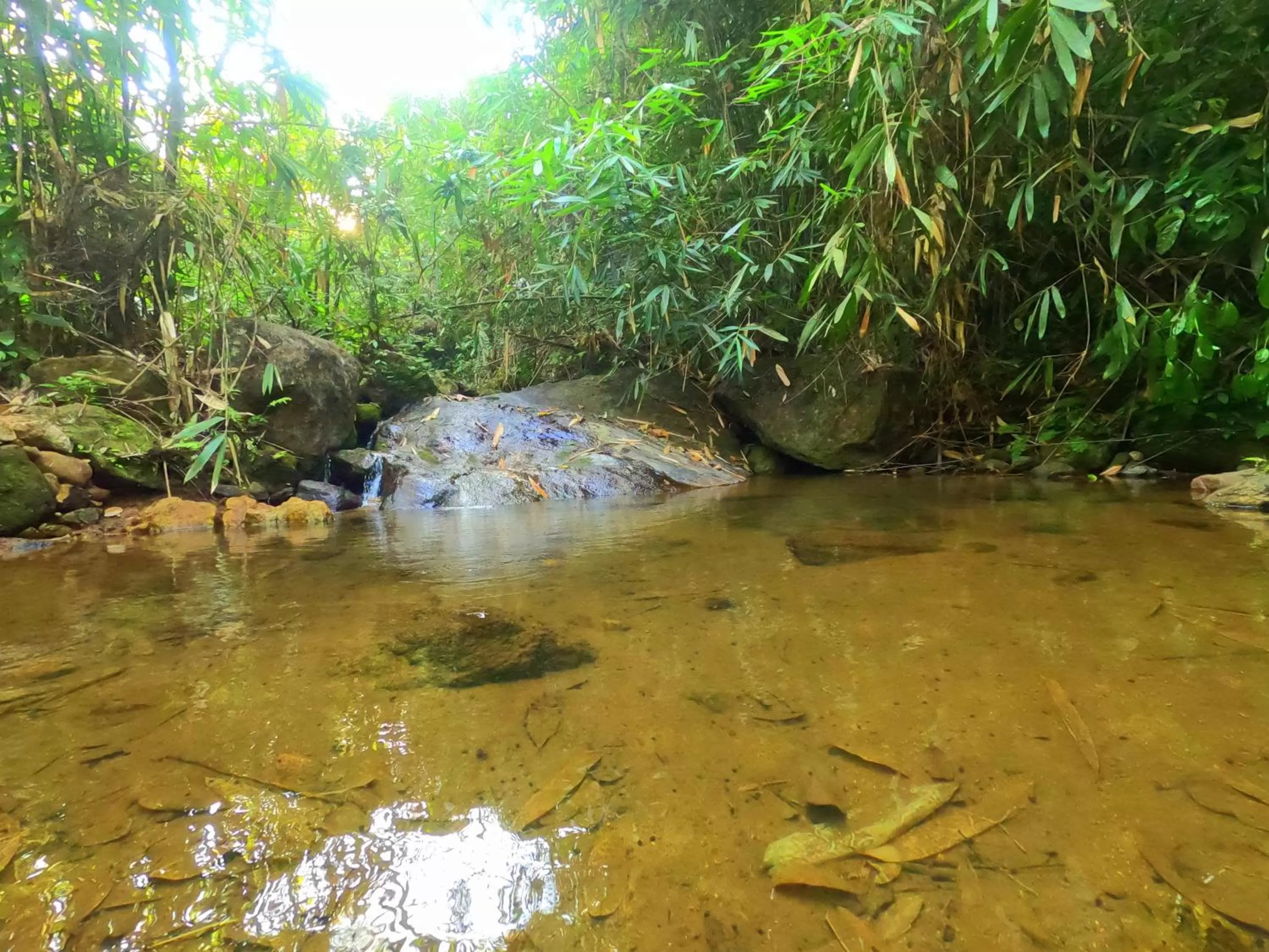 Property building in The Wild Trails Clarks Exotica , Munnar