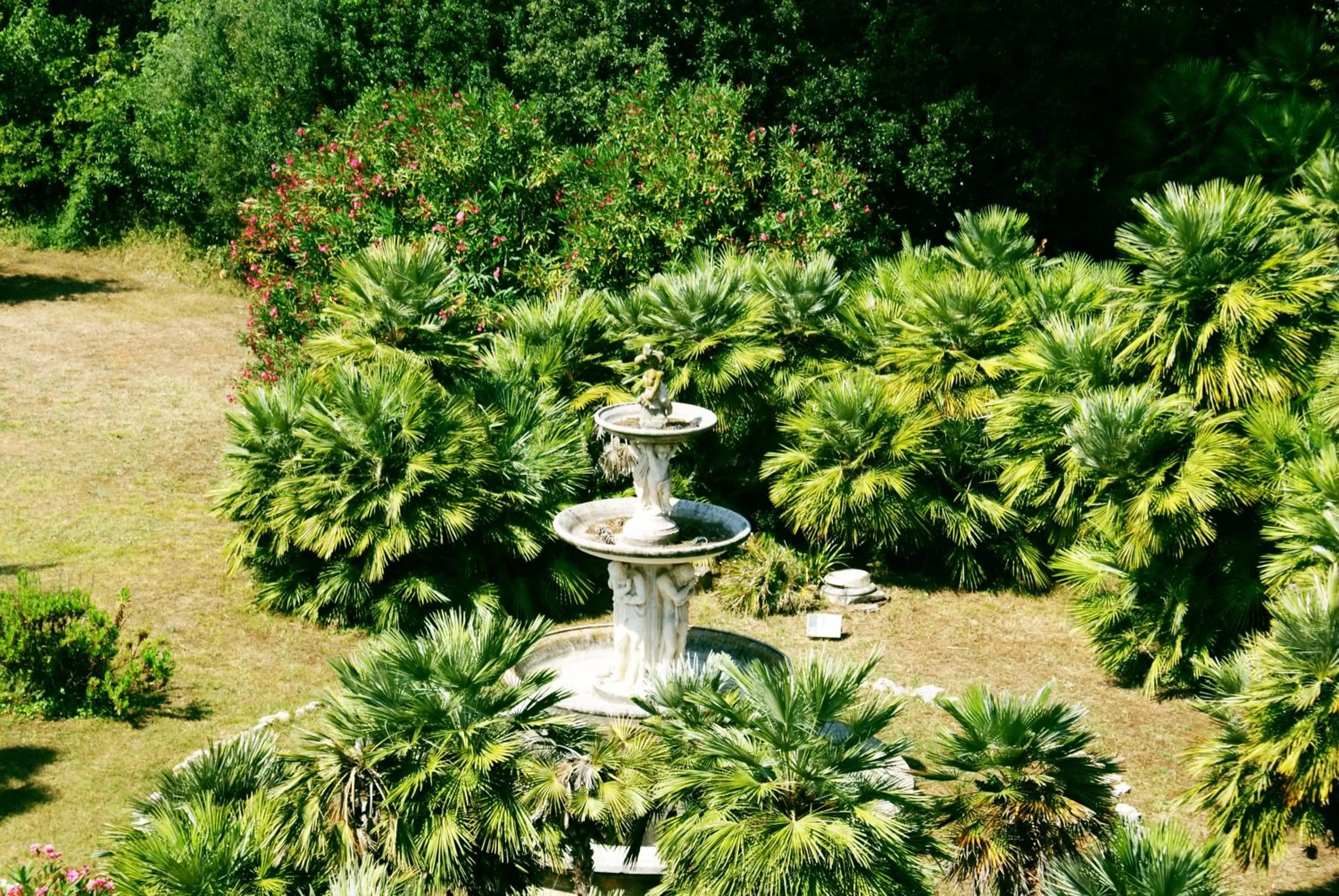 Day in Hotel Parco Dei Principi