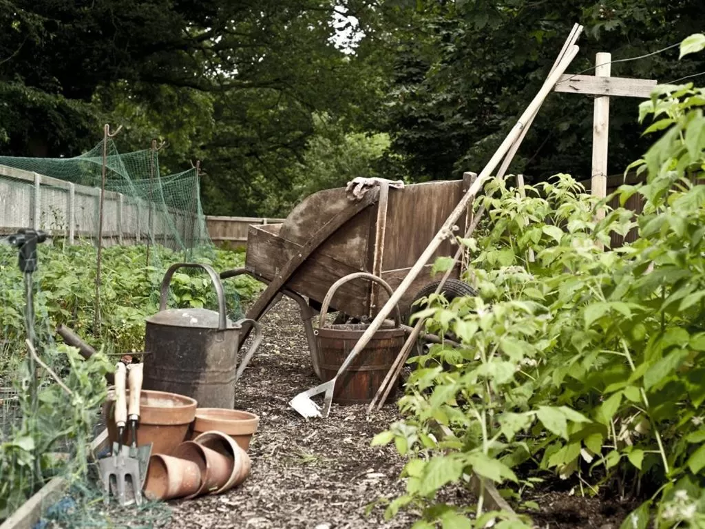 Activities in Marsham Arms Inn