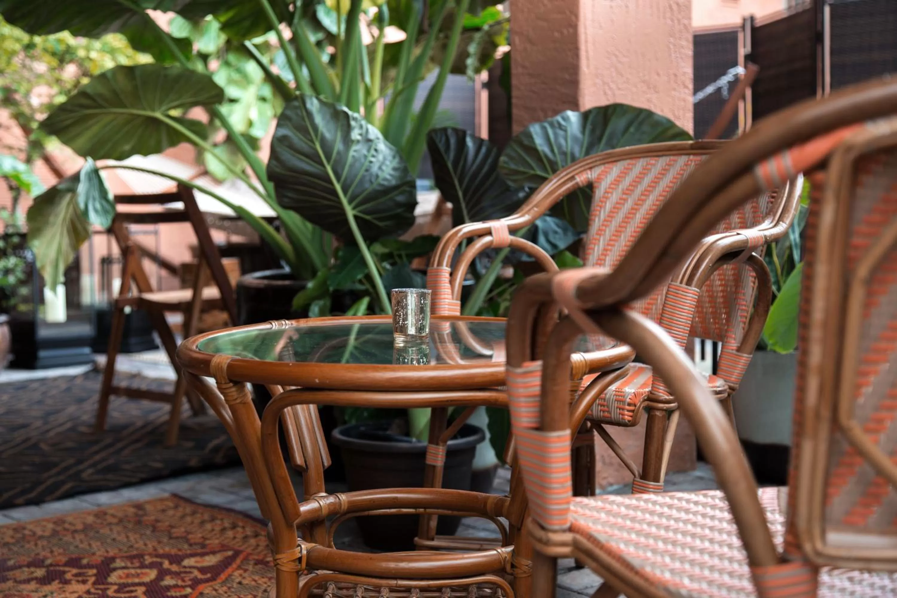 Patio in Life House, Little Havana