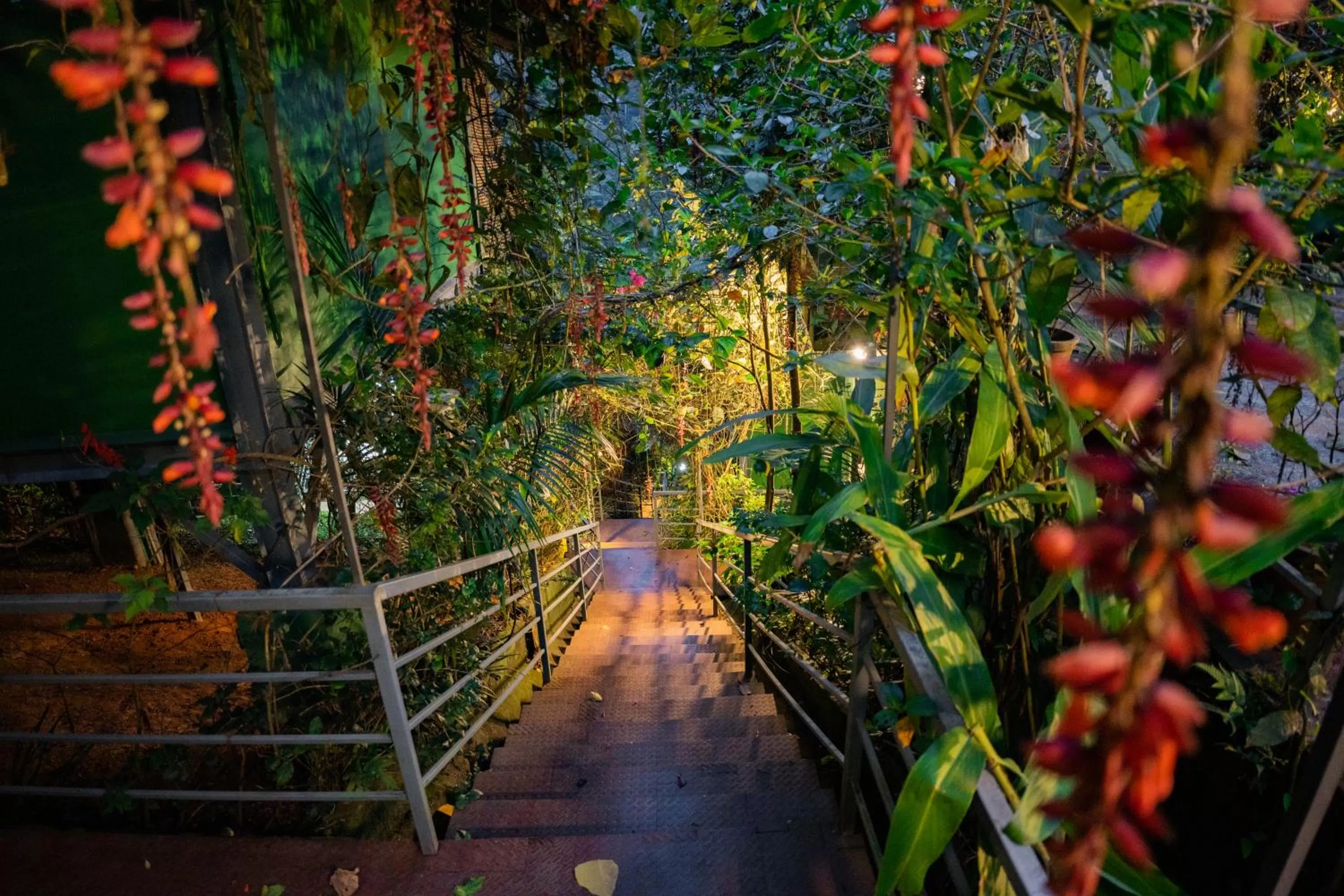 Garden in Edens Munnar