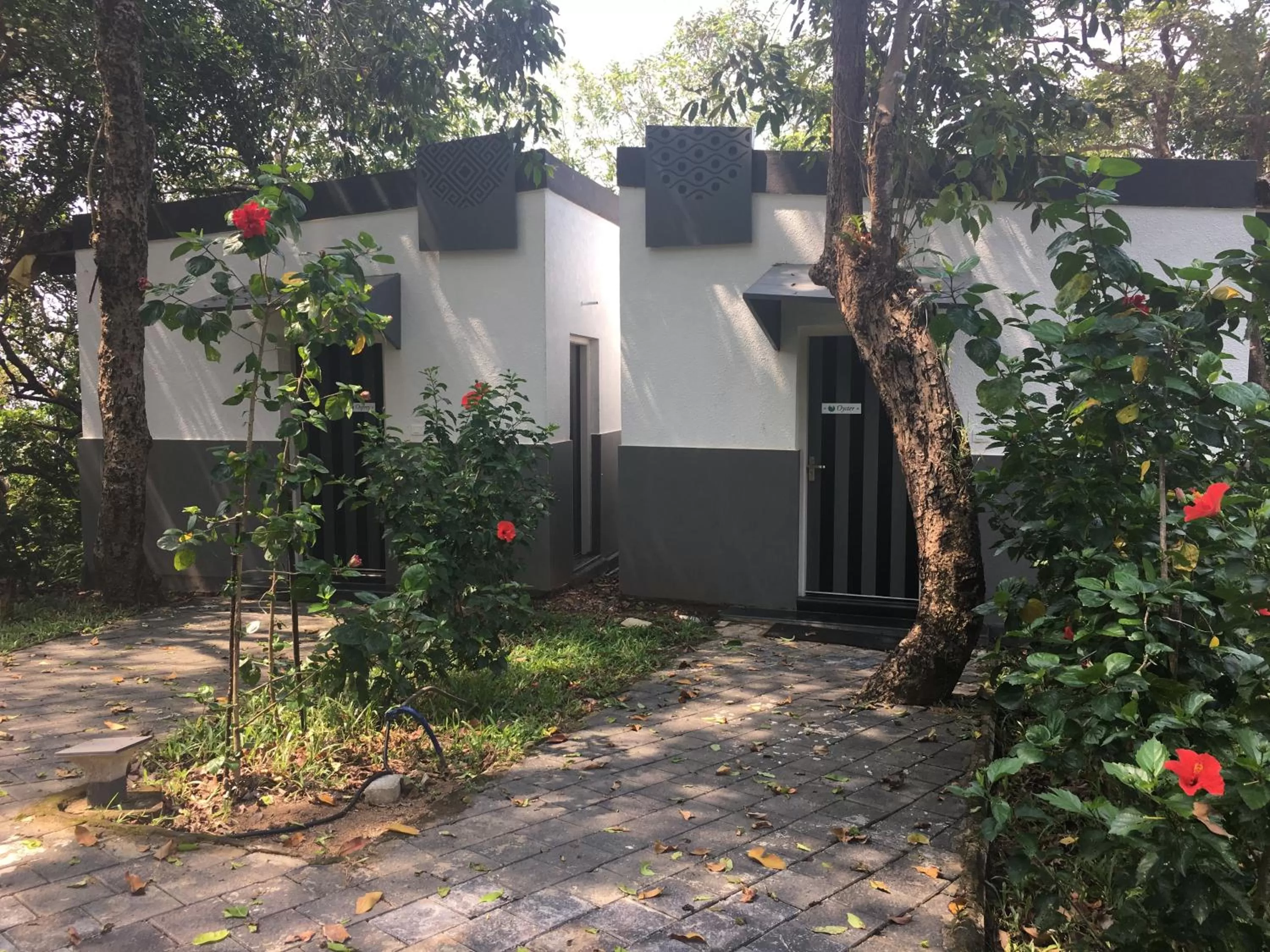 Property Building in Cintacor Island Resort