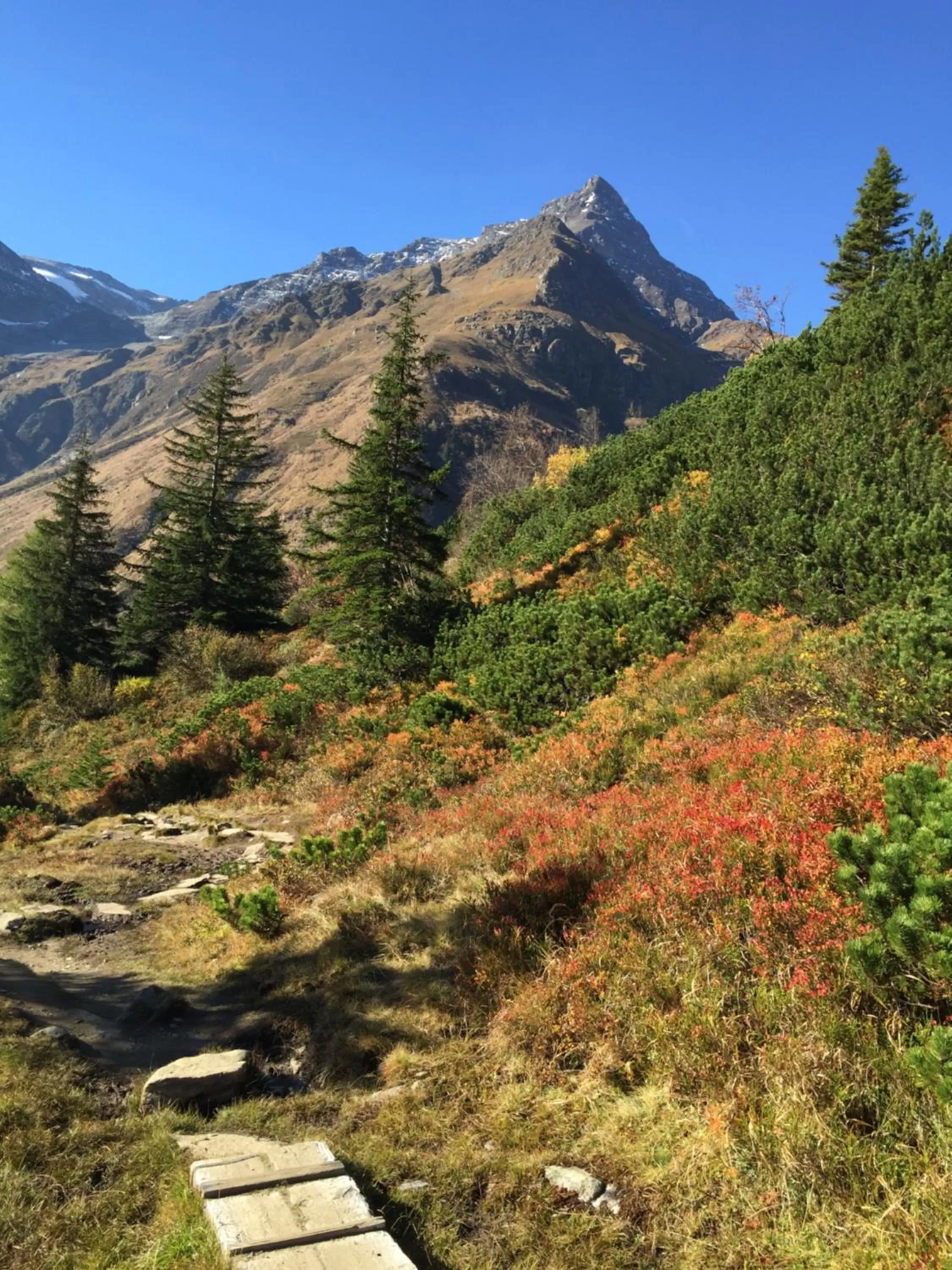 Natural landscape in Nefer, Haus