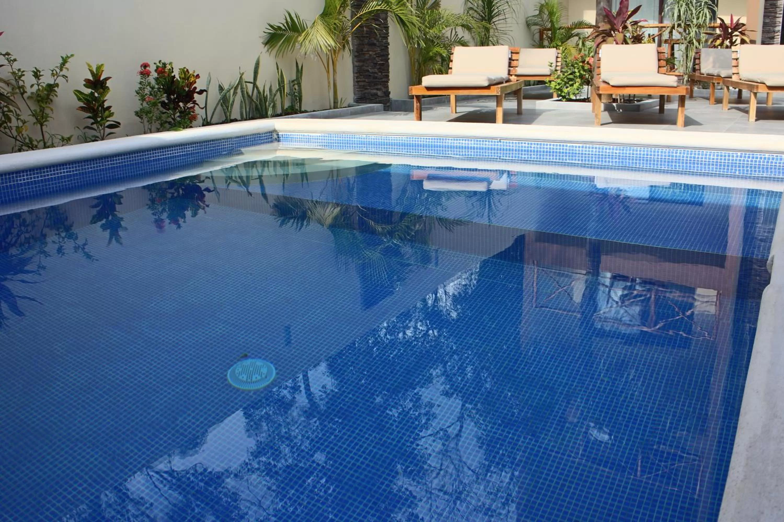 Pool view, Swimming Pool in Basic Tulum
