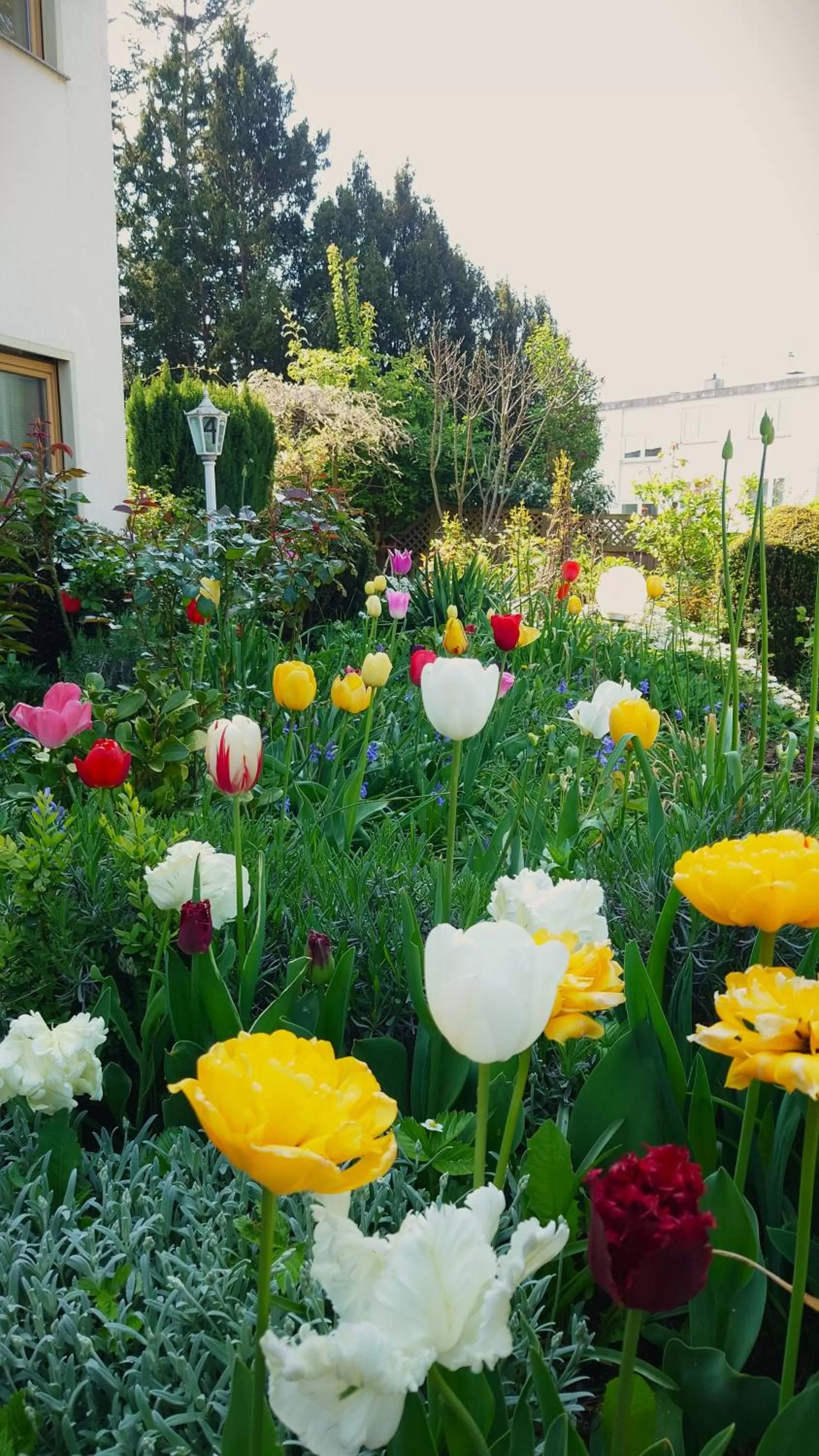 Garden in Hotel Garni Zur Traube
