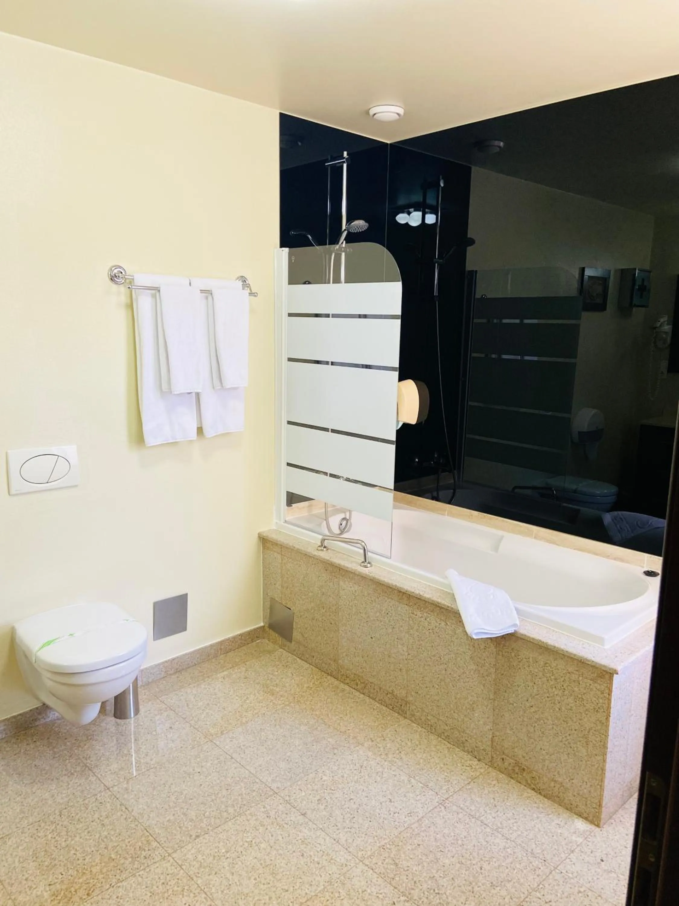 Double Room in Levoslav House Hotel