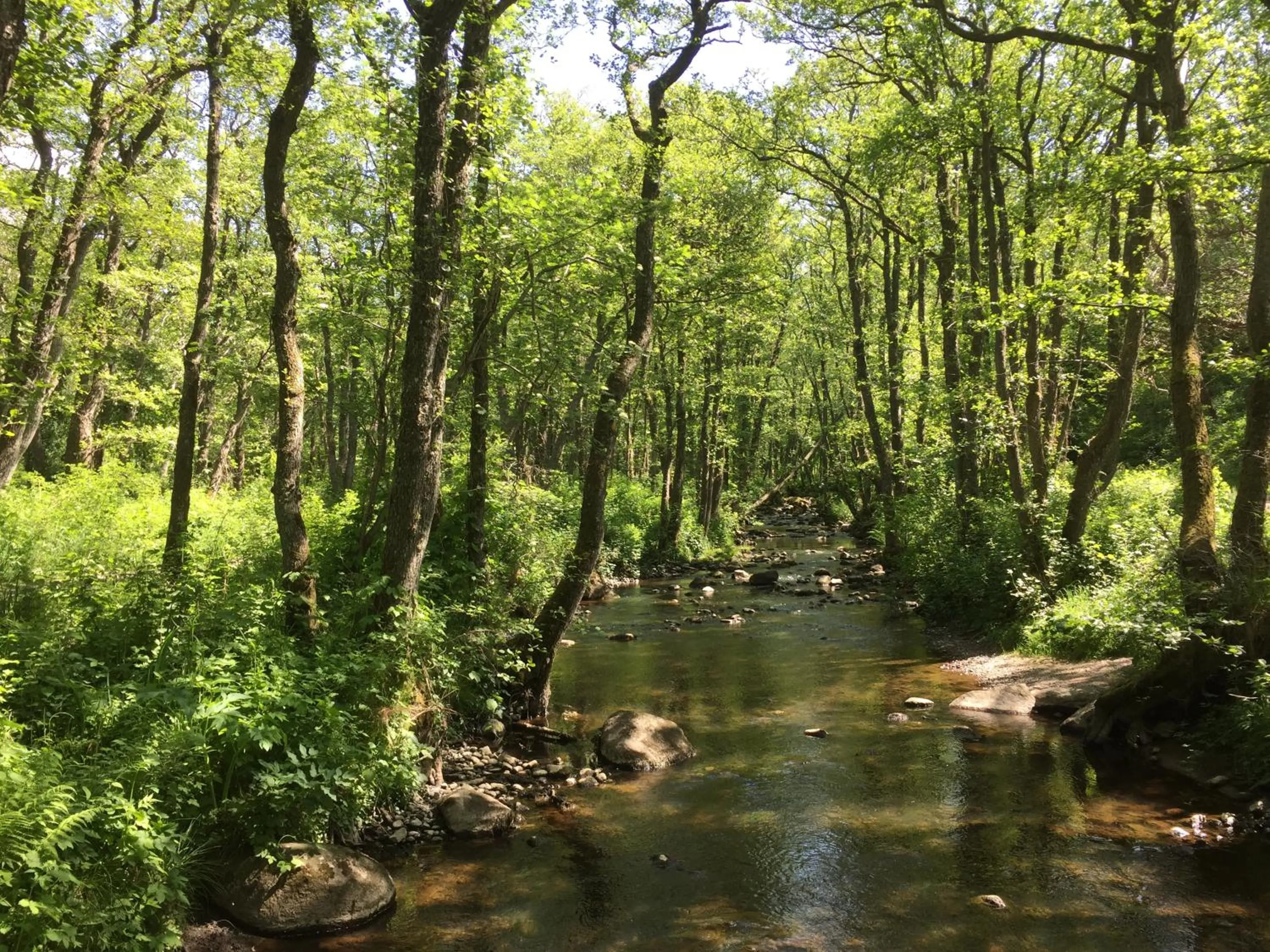 Beach in Tylebäck Hotell & Konferens, BW Signature Collection