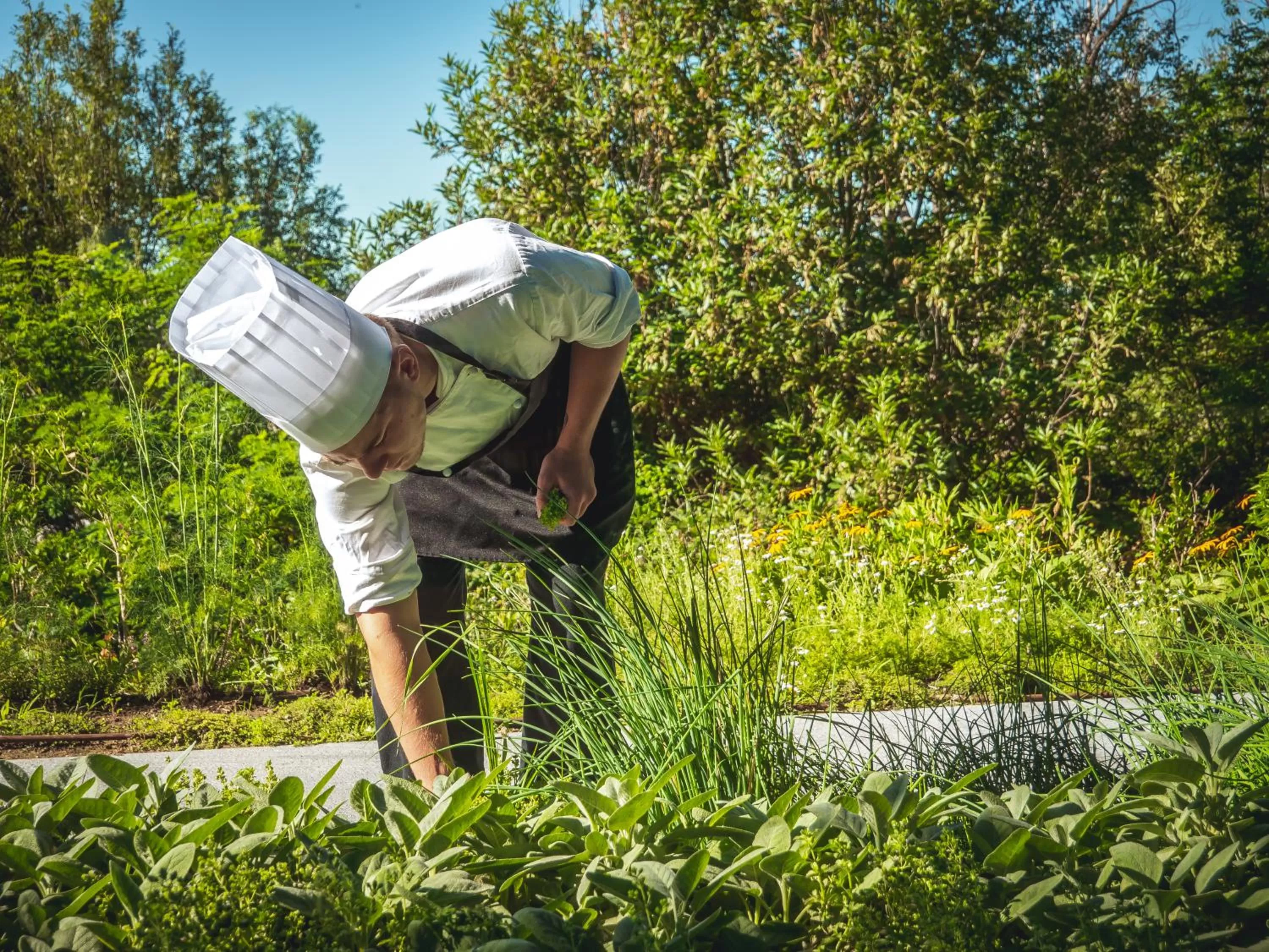 Property building in Phi Hotel Piajo