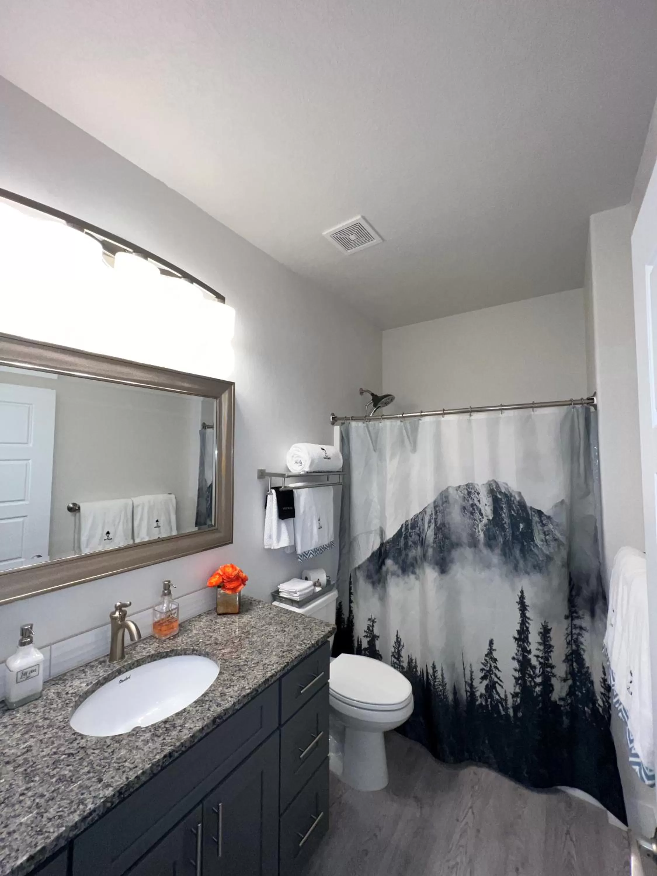 Bathroom in TJ Rancher - West Side Twin Falls