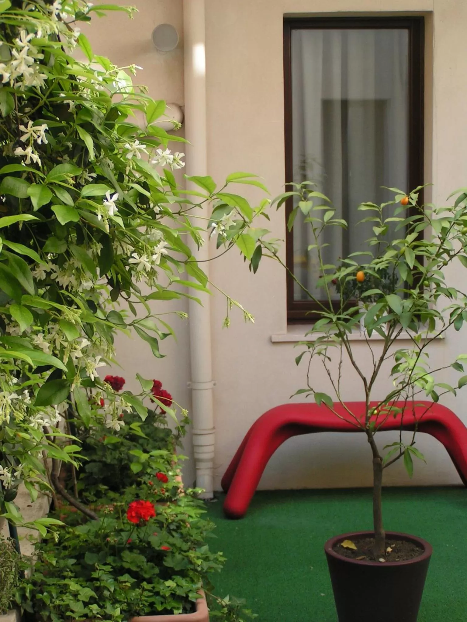 Balcony/Terrace in Albergo Verdi