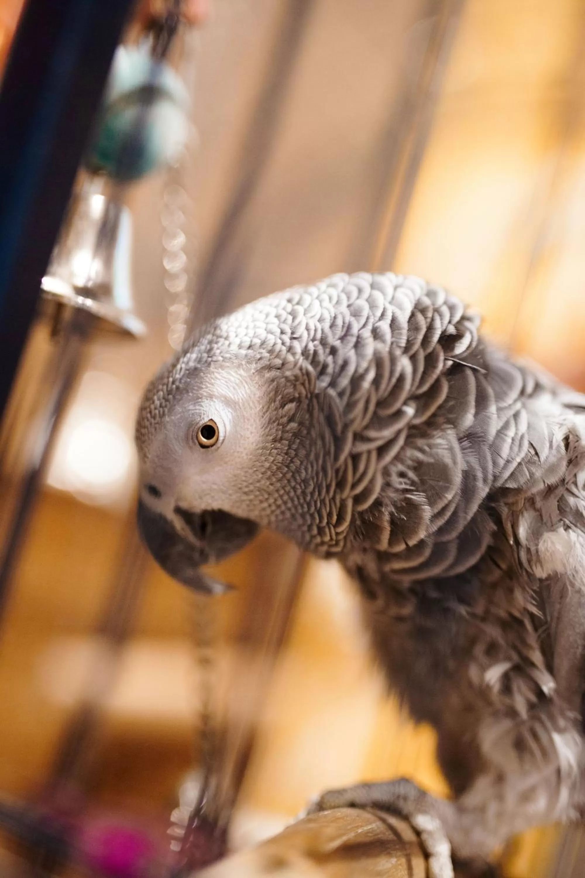 Property building in Hotel Beaucour