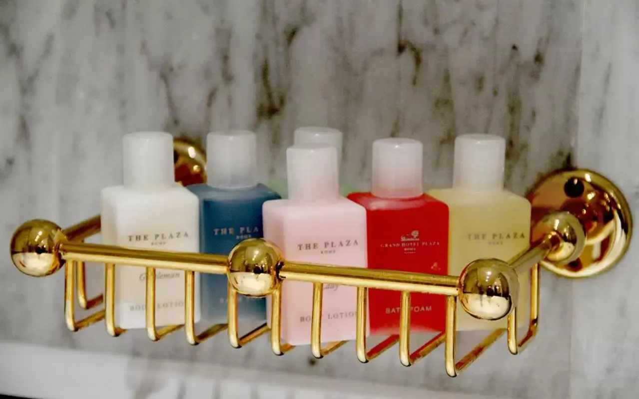 Single Room in Grand Hotel Plaza Single Room in Grand Hotel Plaza