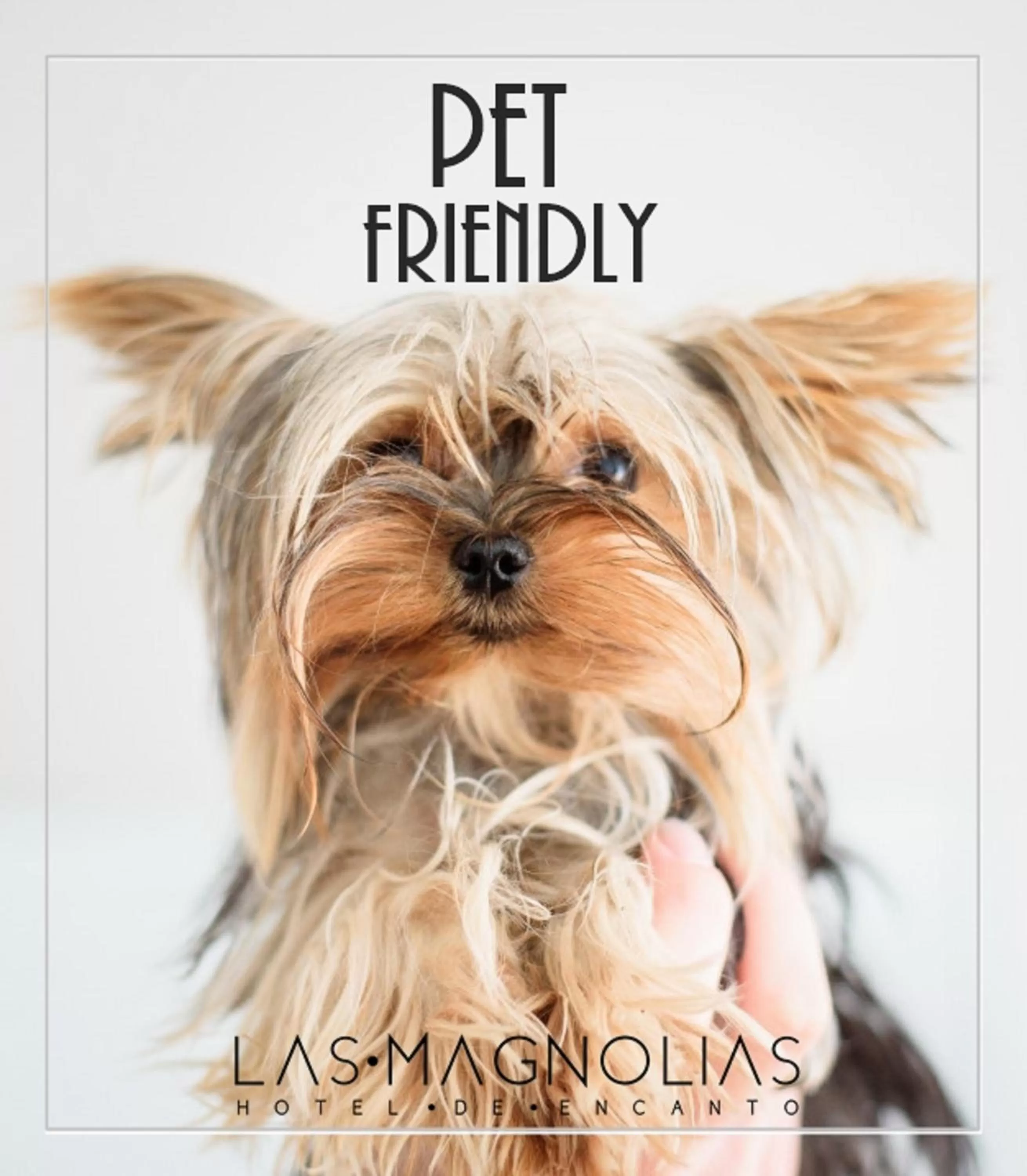 Pets in Las Magnolias Hotel Boutique