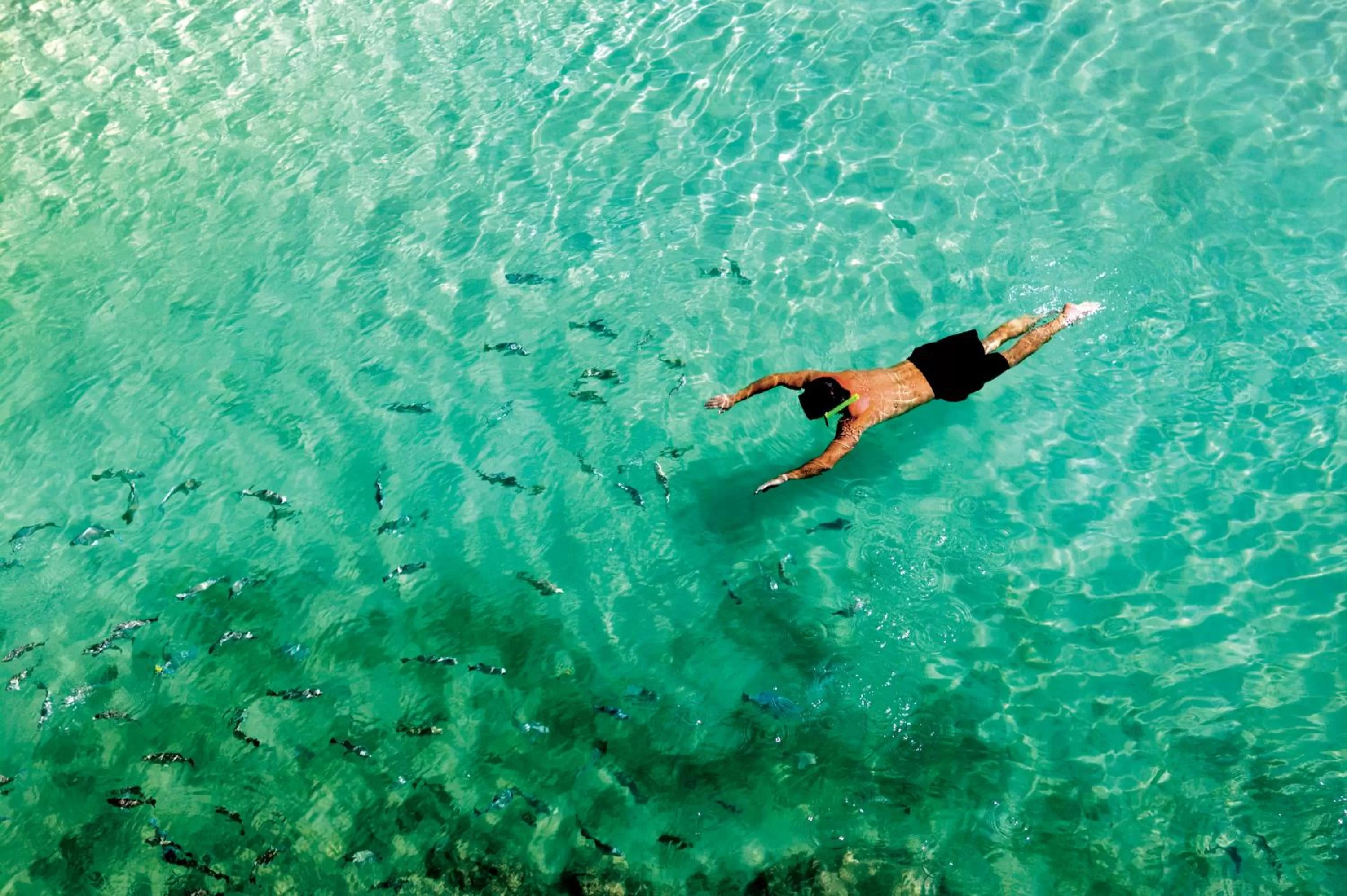 Property building in Occidental Cozumel - All Inclusive