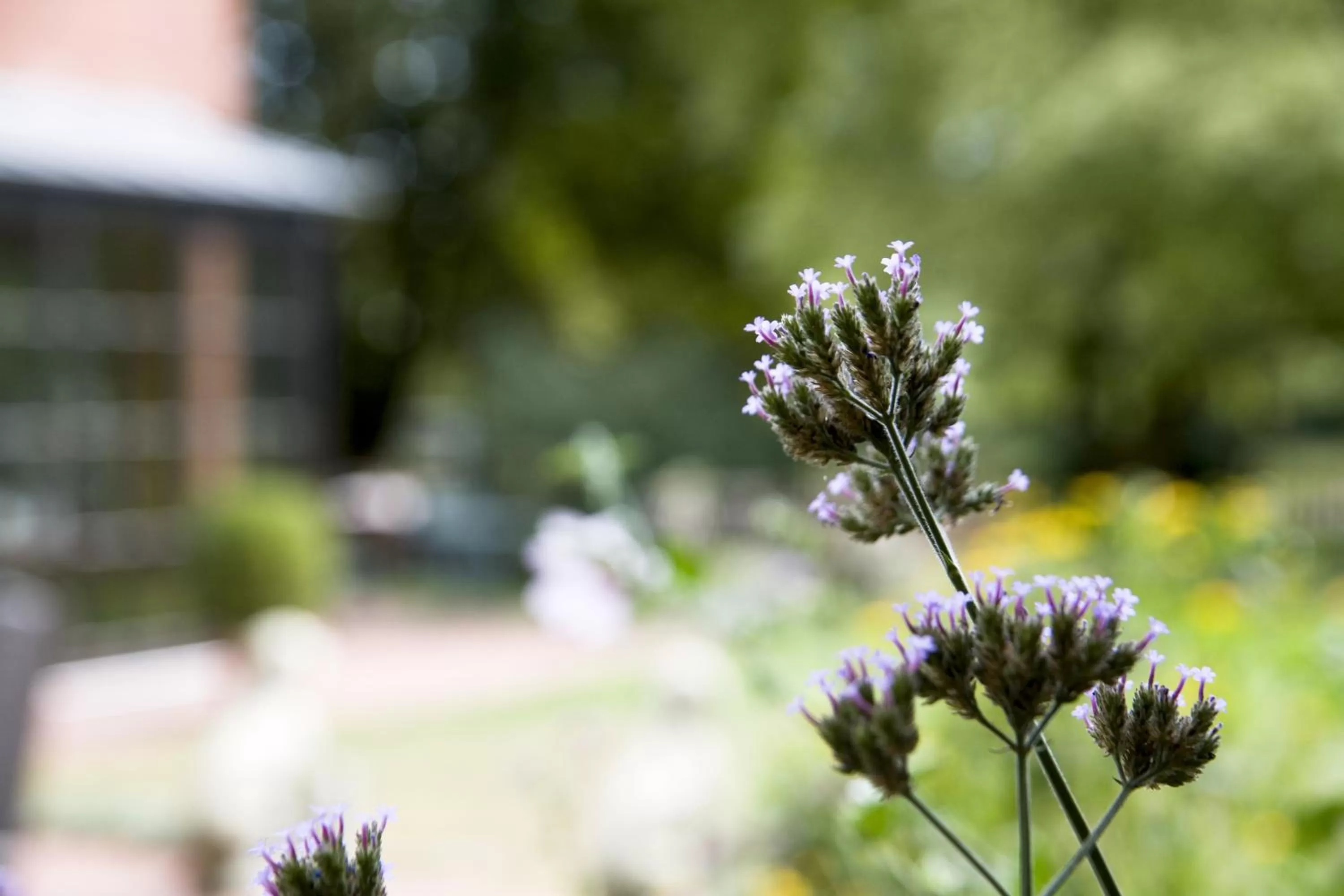 Hotel Restaurant Piärdestall Hövelhof