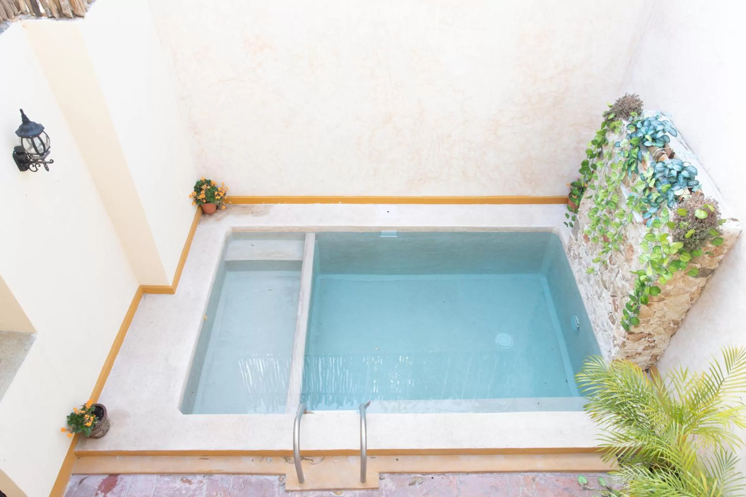 Swimming pool in Hotel Casa Rico