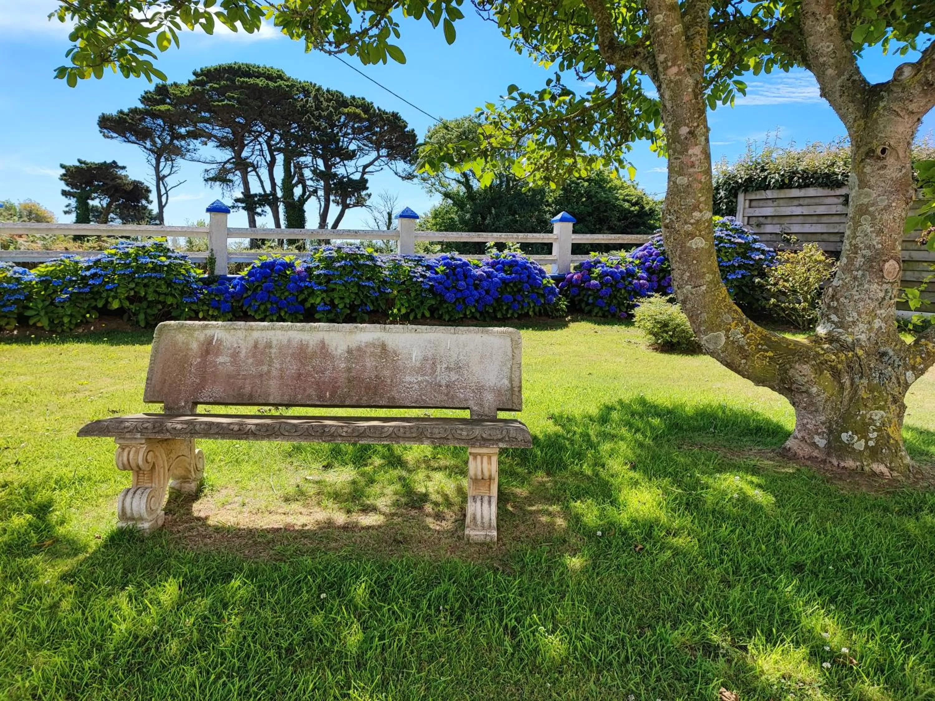 Garden in Chambres d'Hôtes "Les Hauts Vents"