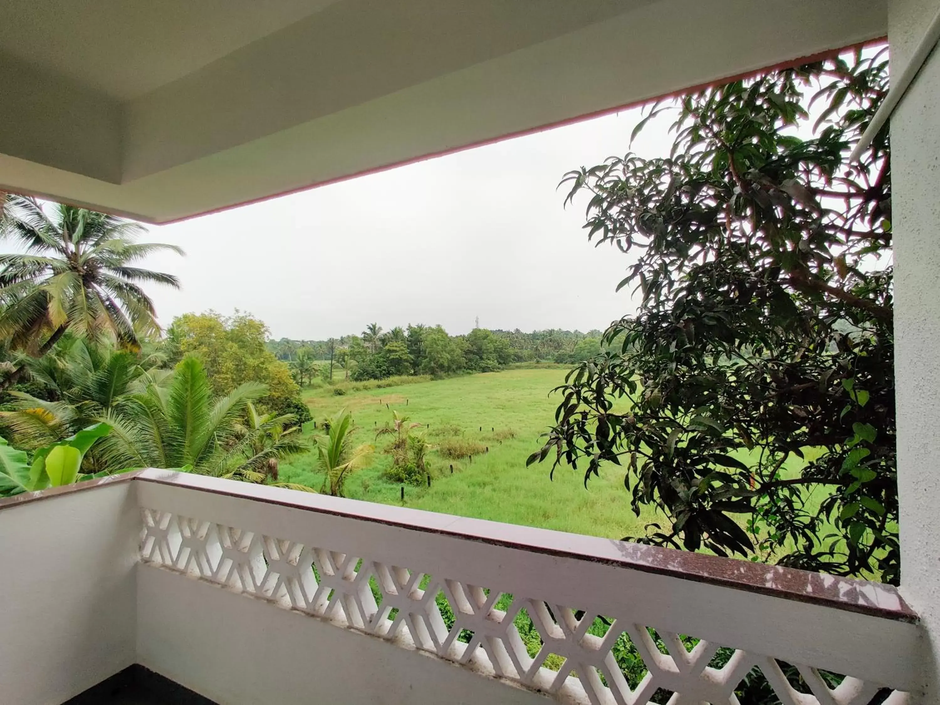 Standard Double Room in Hotel Siesta De Goa Standard Double Room in Hotel Siesta De Goa