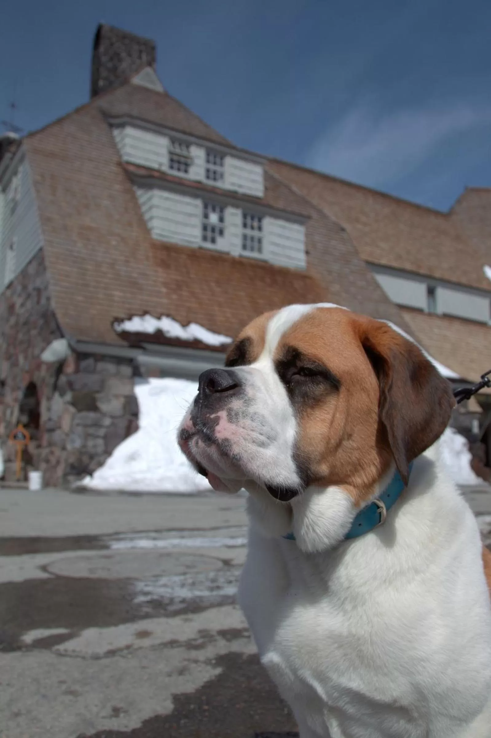 Facade/entrance in Timberline Lodge
