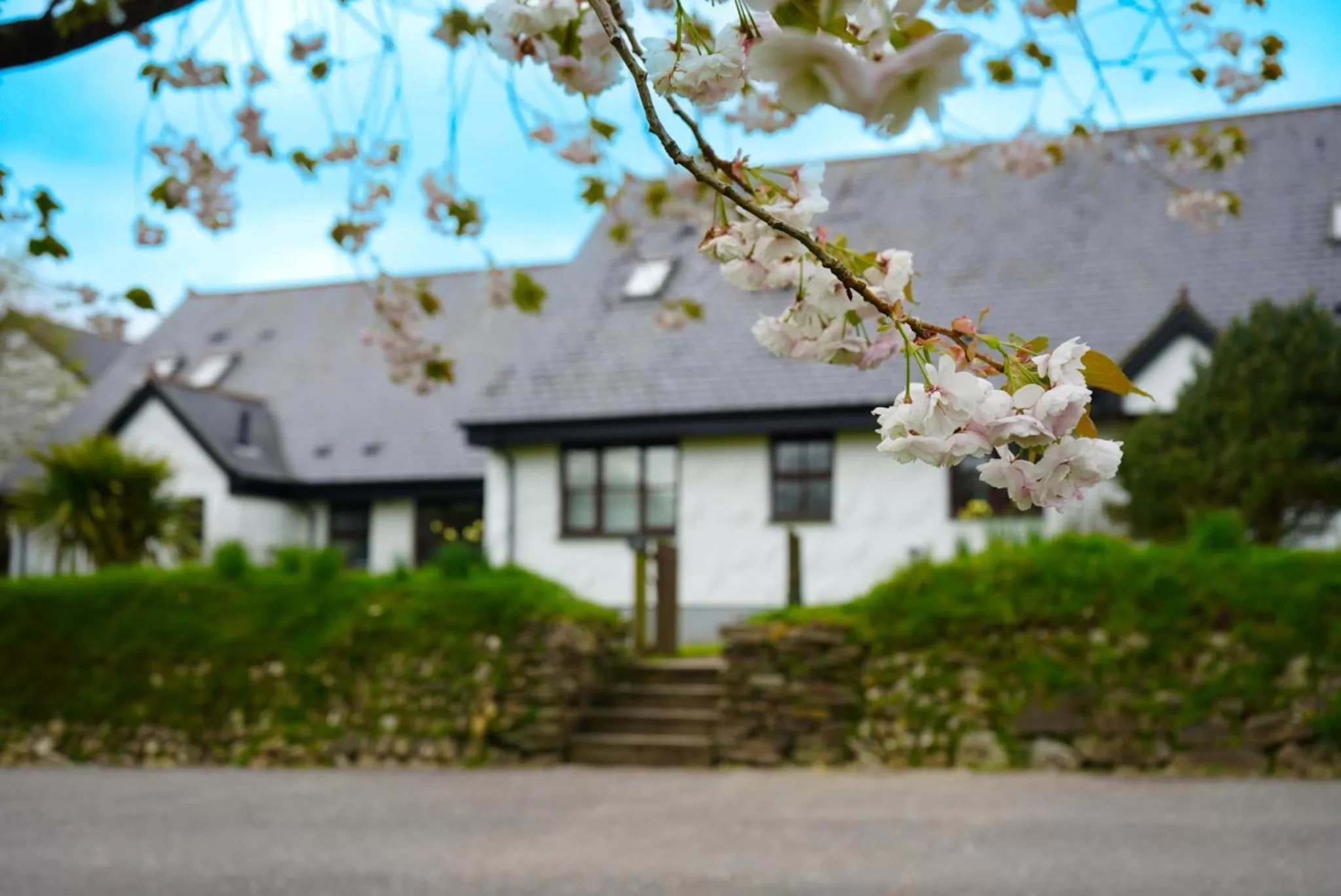 Property Building in Hustyns Resort Cornwall