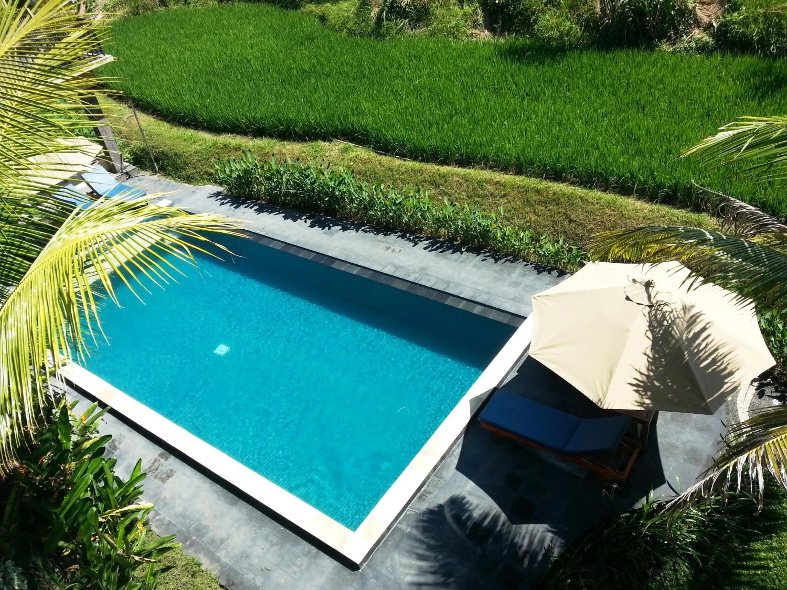 Swimming pool in Biyukukung Suite & Spa