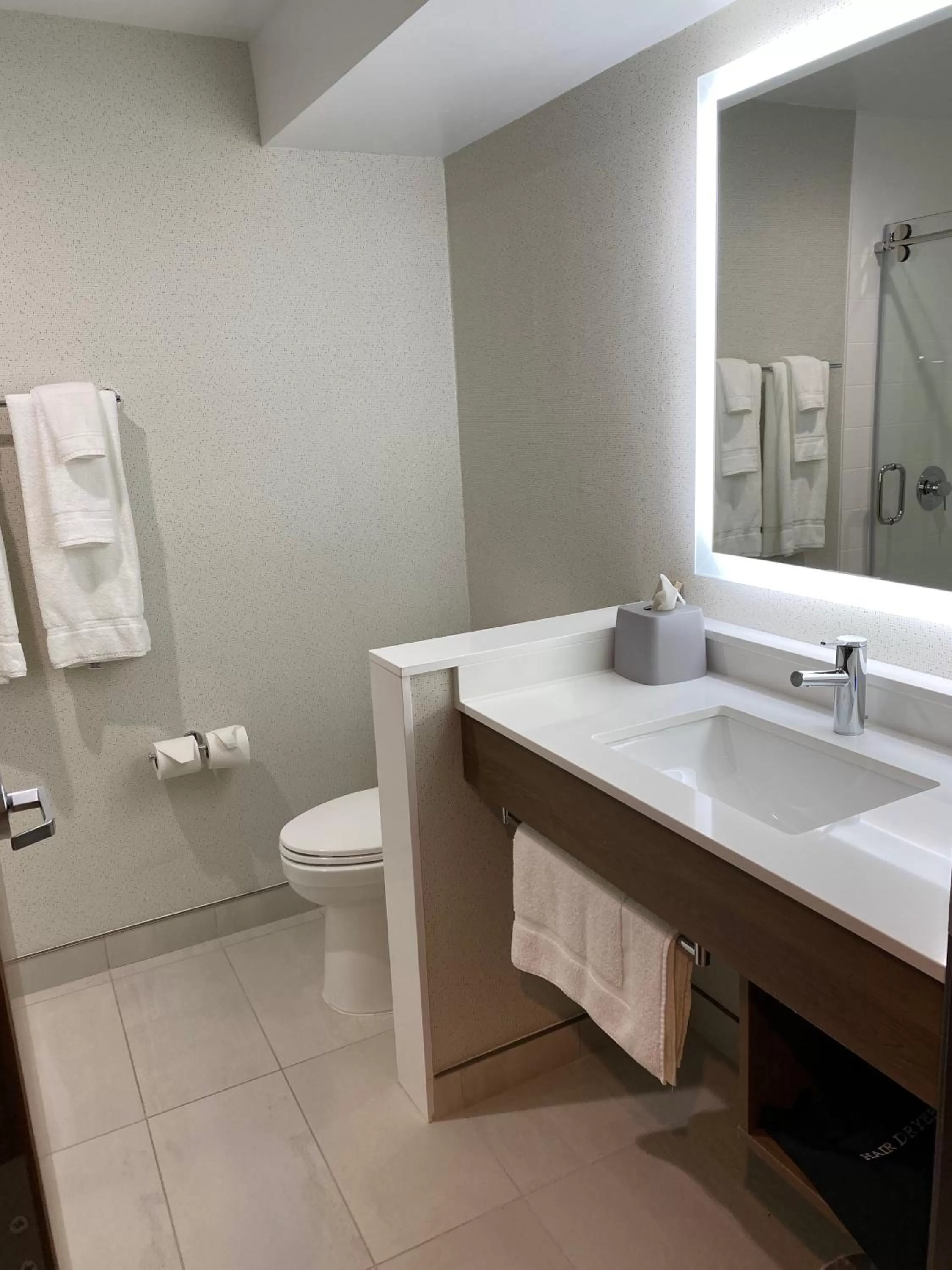 Toilet in Holiday Inn Express & Suites Chatsworth by IHG