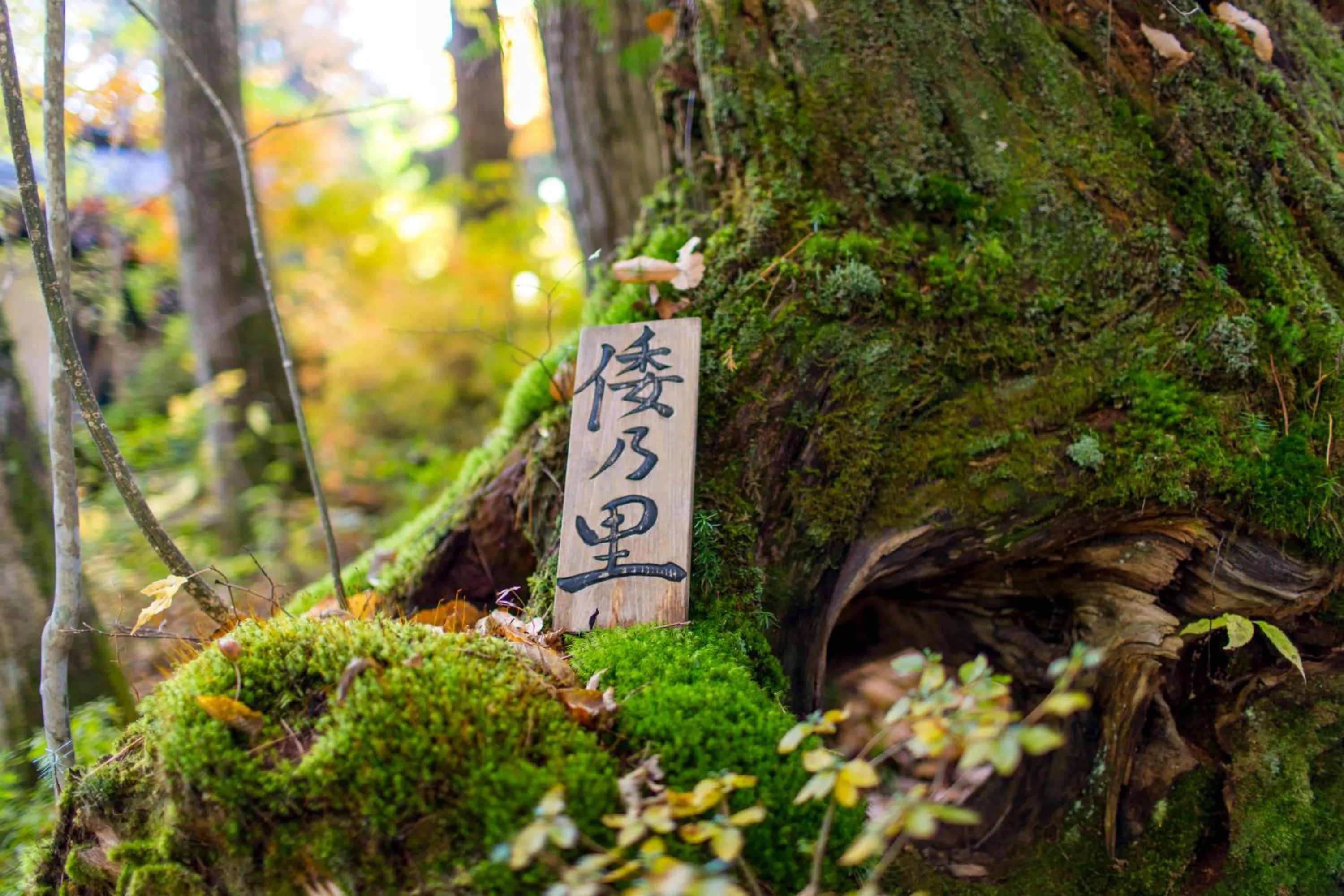 Property logo or sign in Wanosato