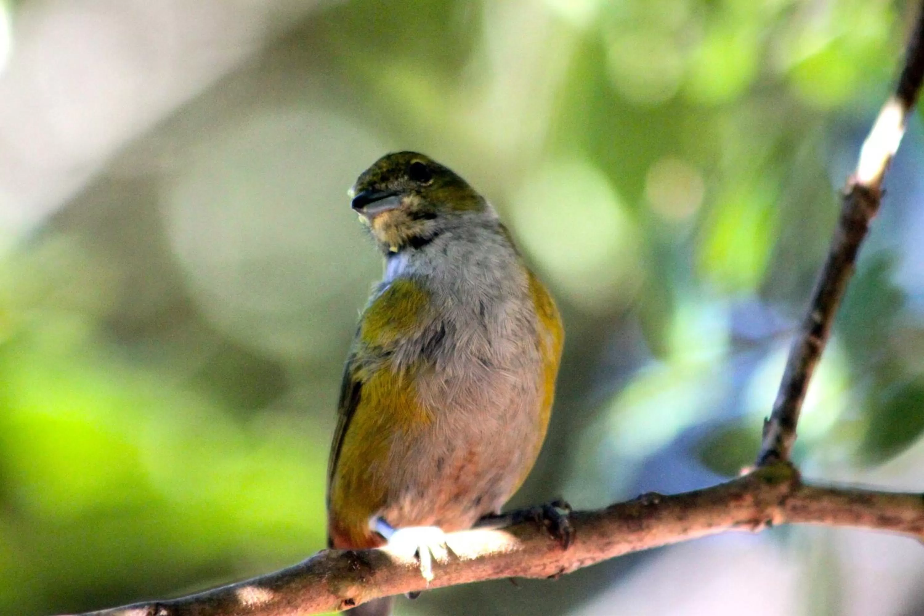 On site in Pousada da Rosa