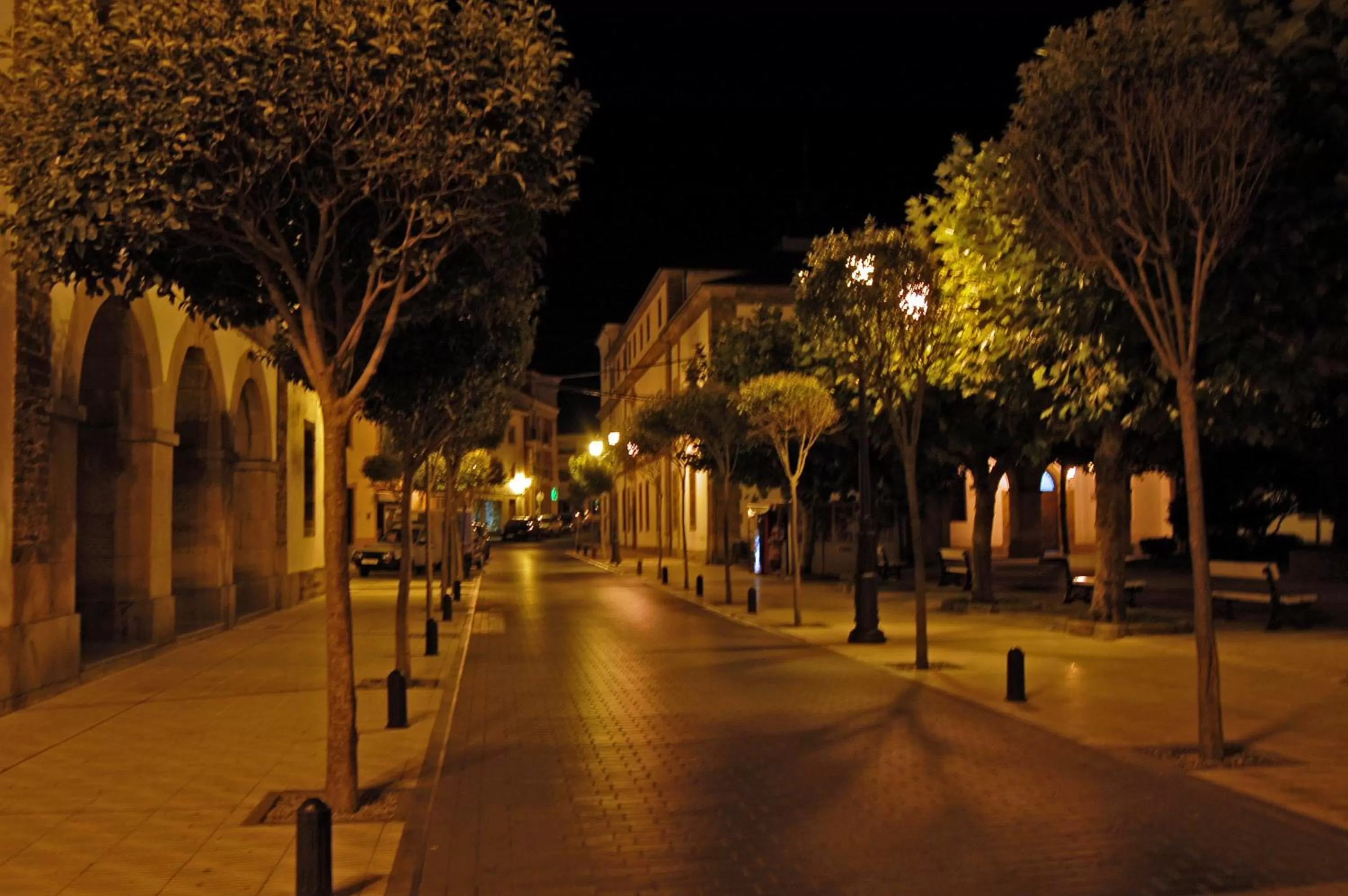 Area and facilities in Hotel Restaurante San Anton