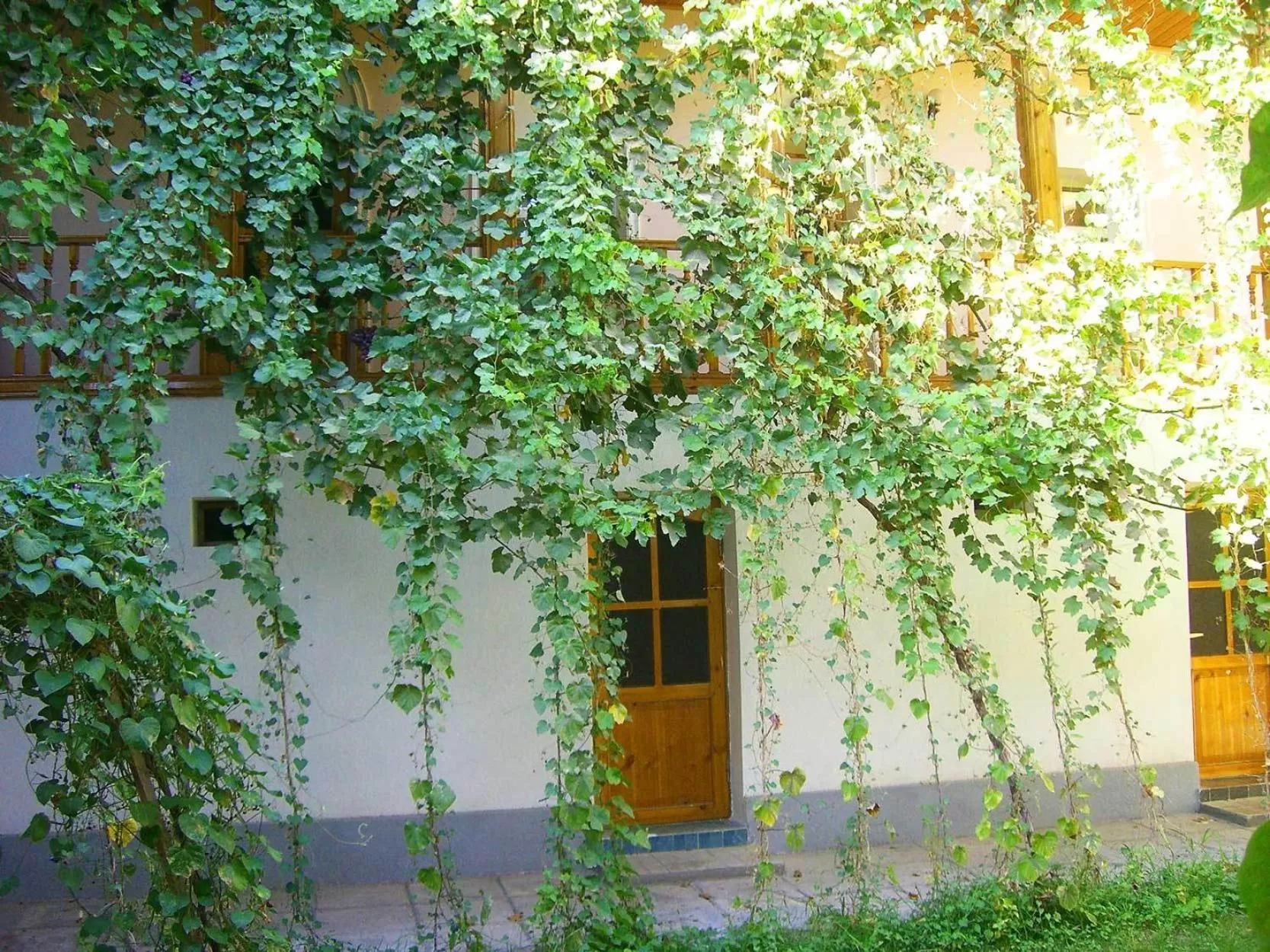 Facade/entrance in Jahongir