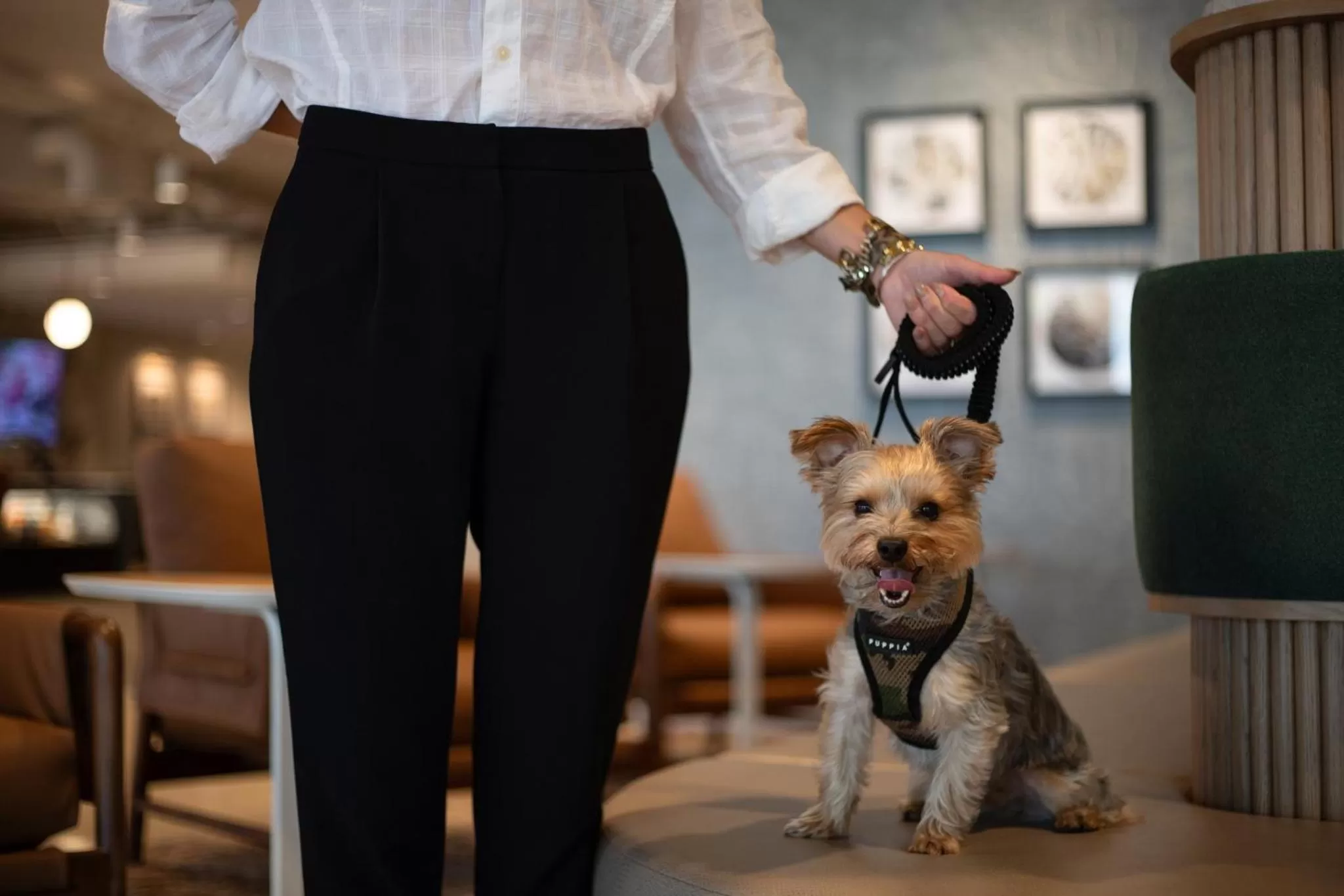 Decorative detail in Holiday Inn Chicago O'Hare - Rosemont by IHG