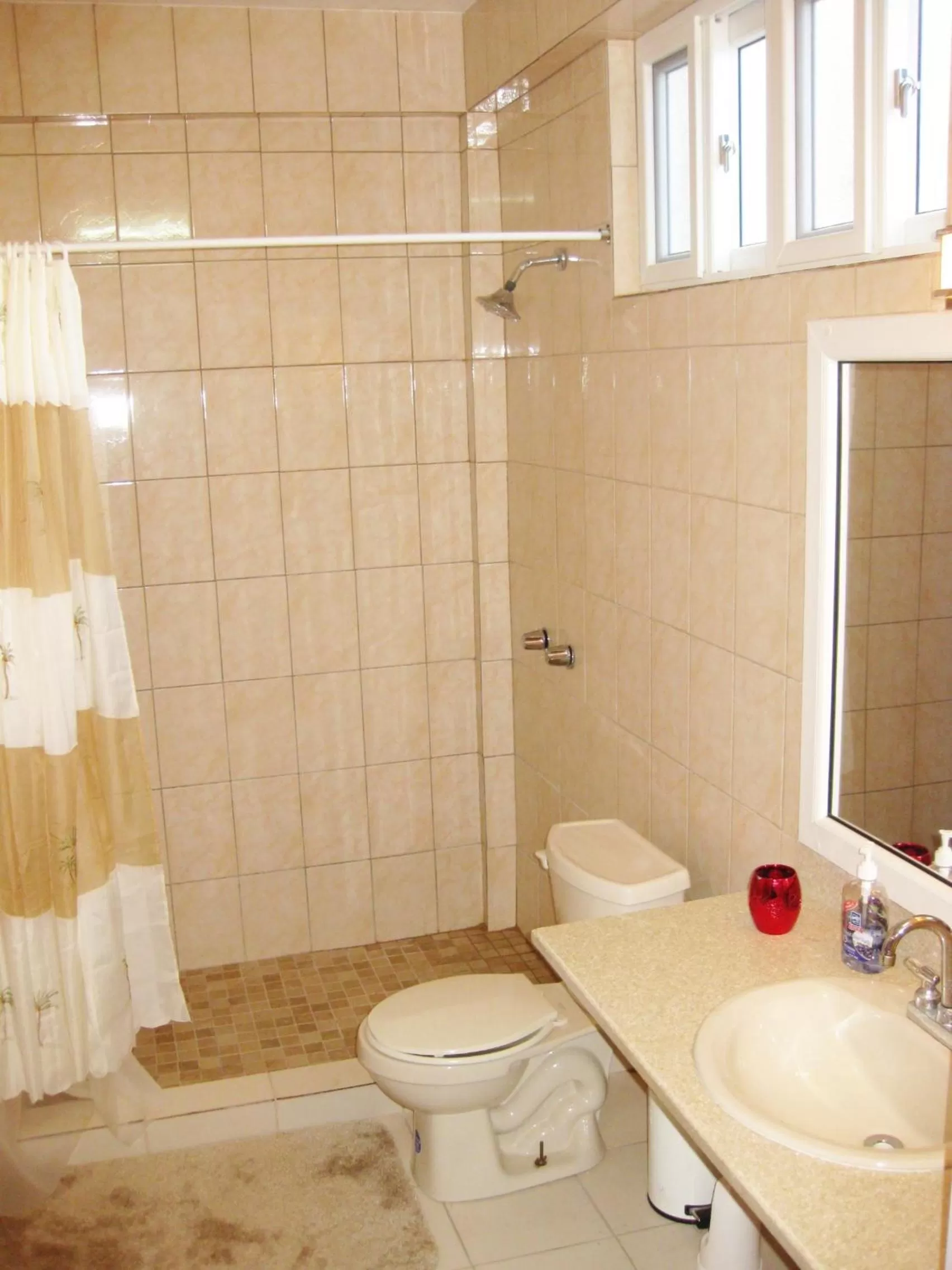 Bathroom in Classique International in Dominica