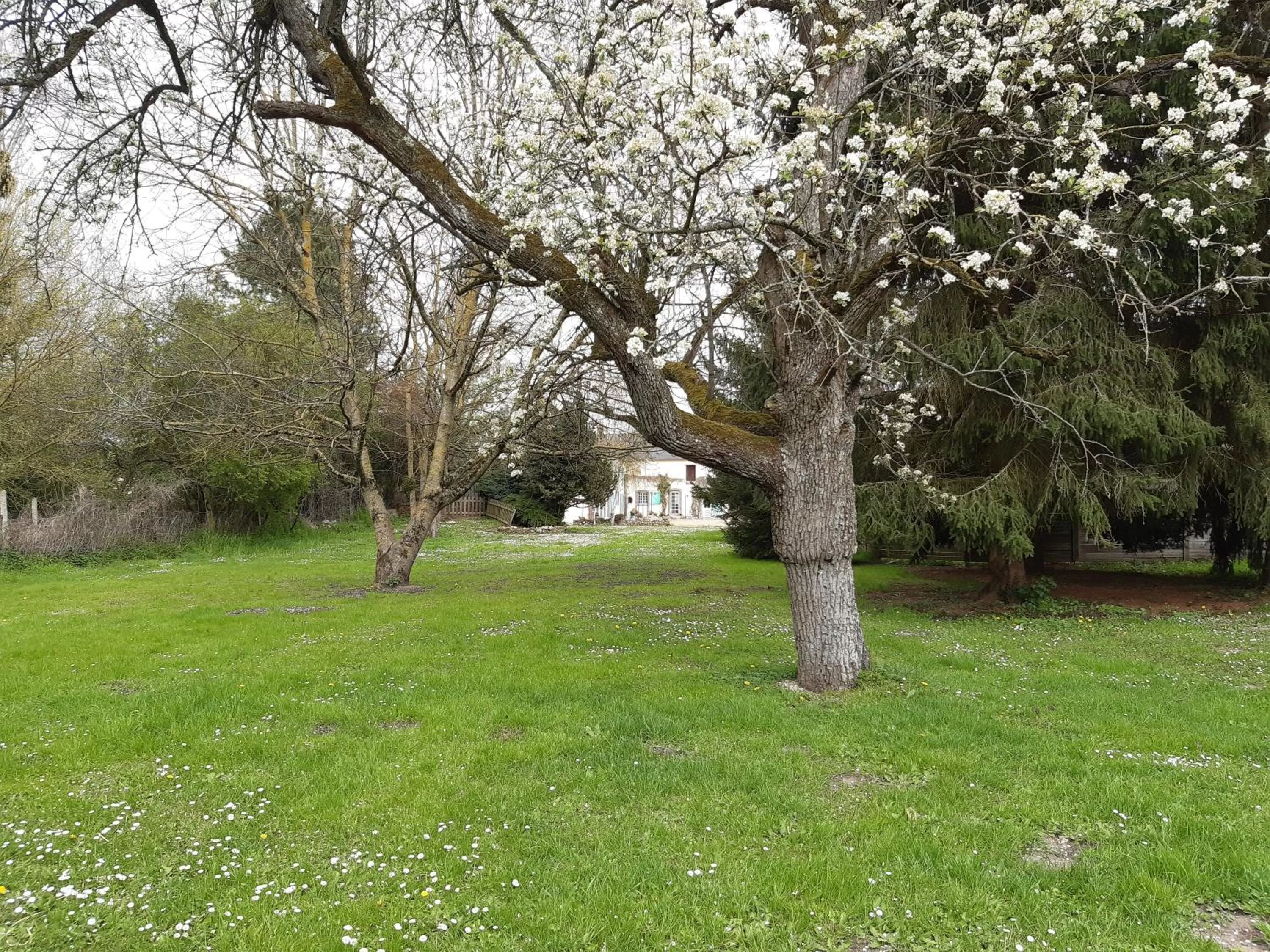 Garden in Au Charme de l'Eure