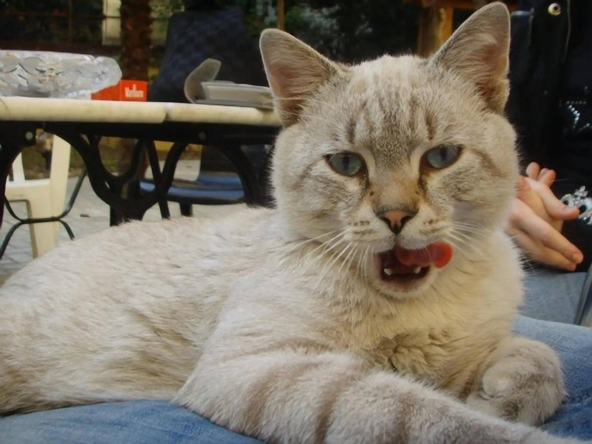 Other in Hotel Paradiso