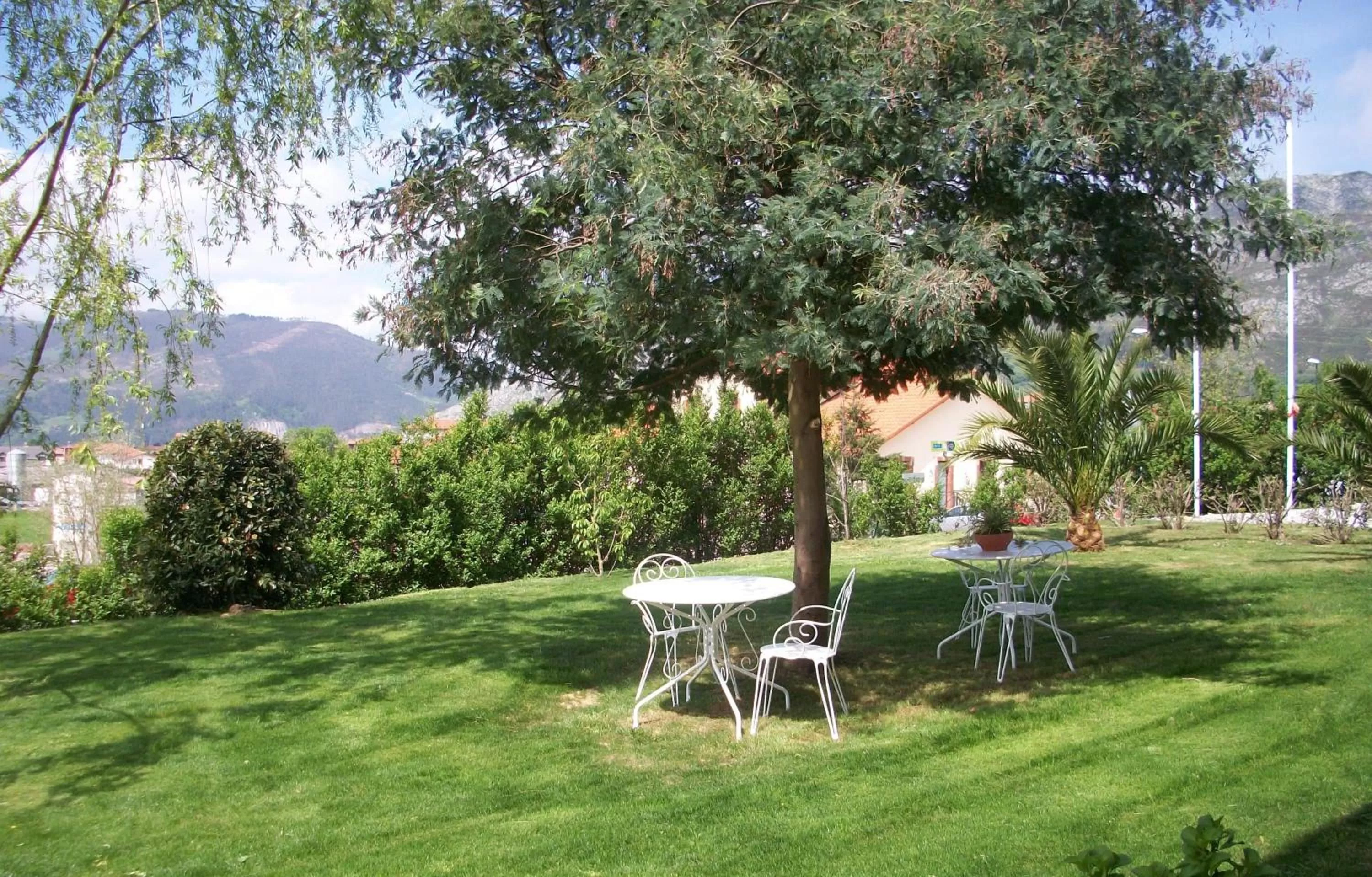 Garden in Hotel Palacio Garcia Quijano