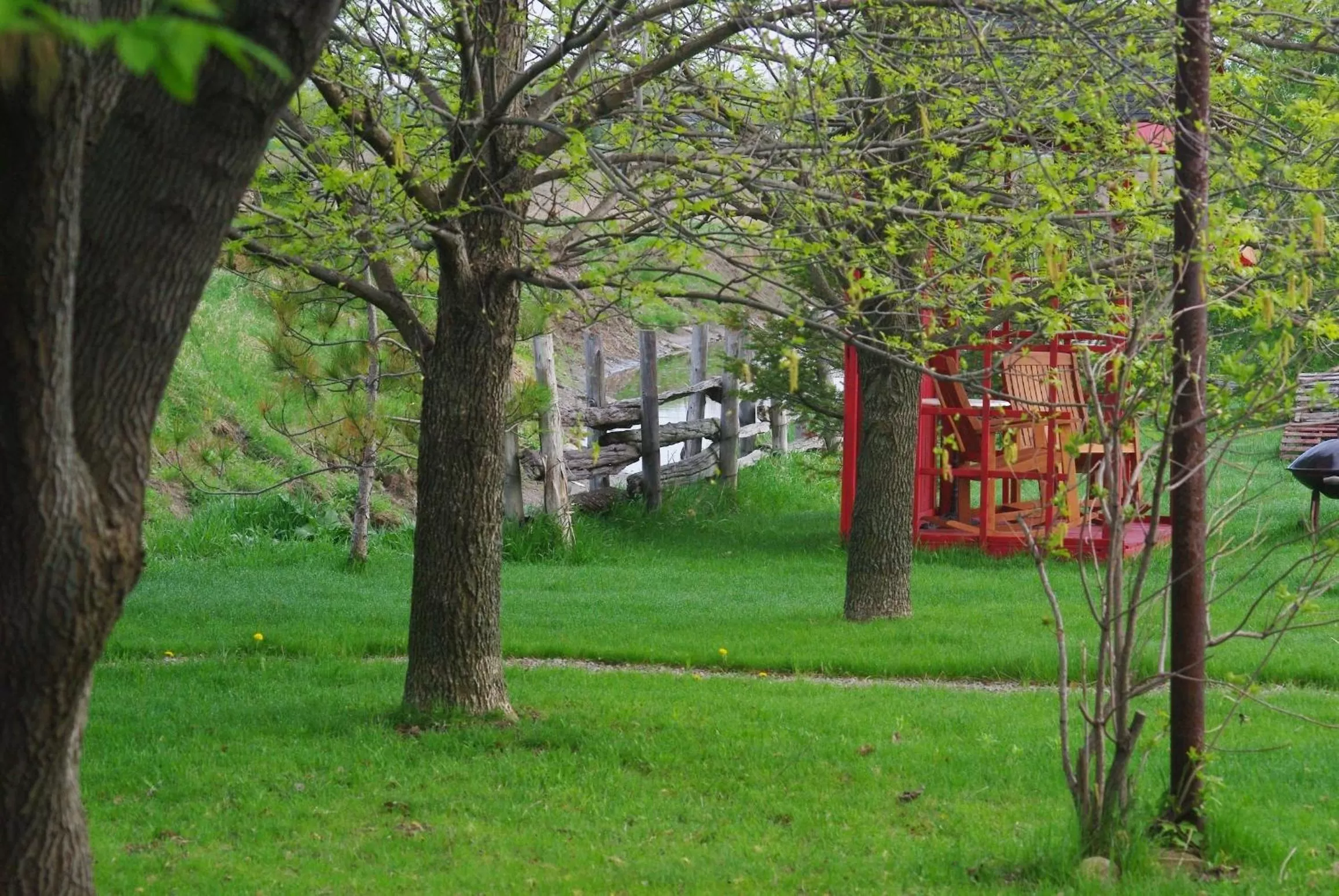 Garden in Atelier Galerie Anne Drouin Peinture & Pension