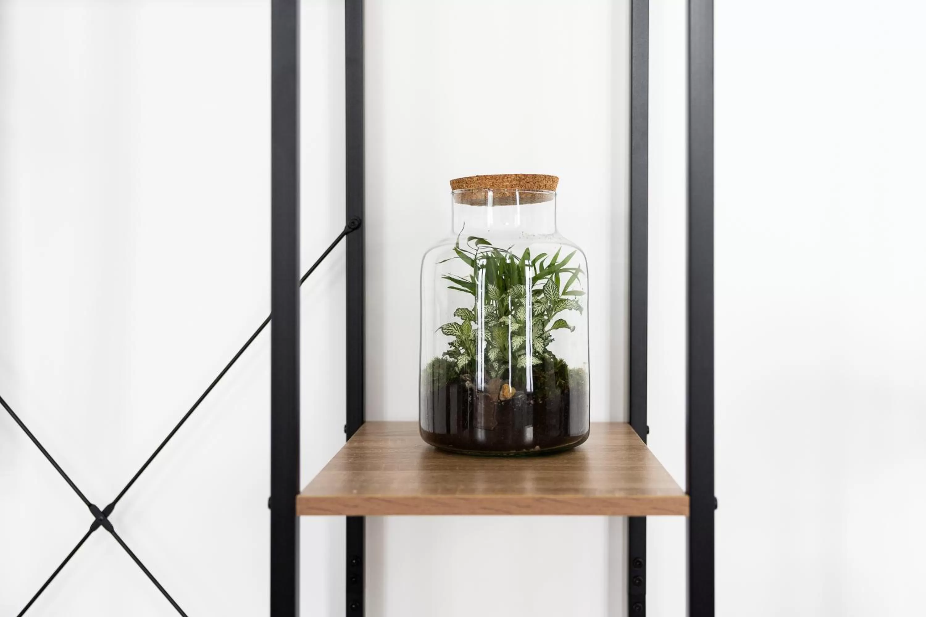 Decorative detail in Apartments am Neuen Theater - Altstadt - Zentral - Küche - Wifi - Powered by Ko-Living