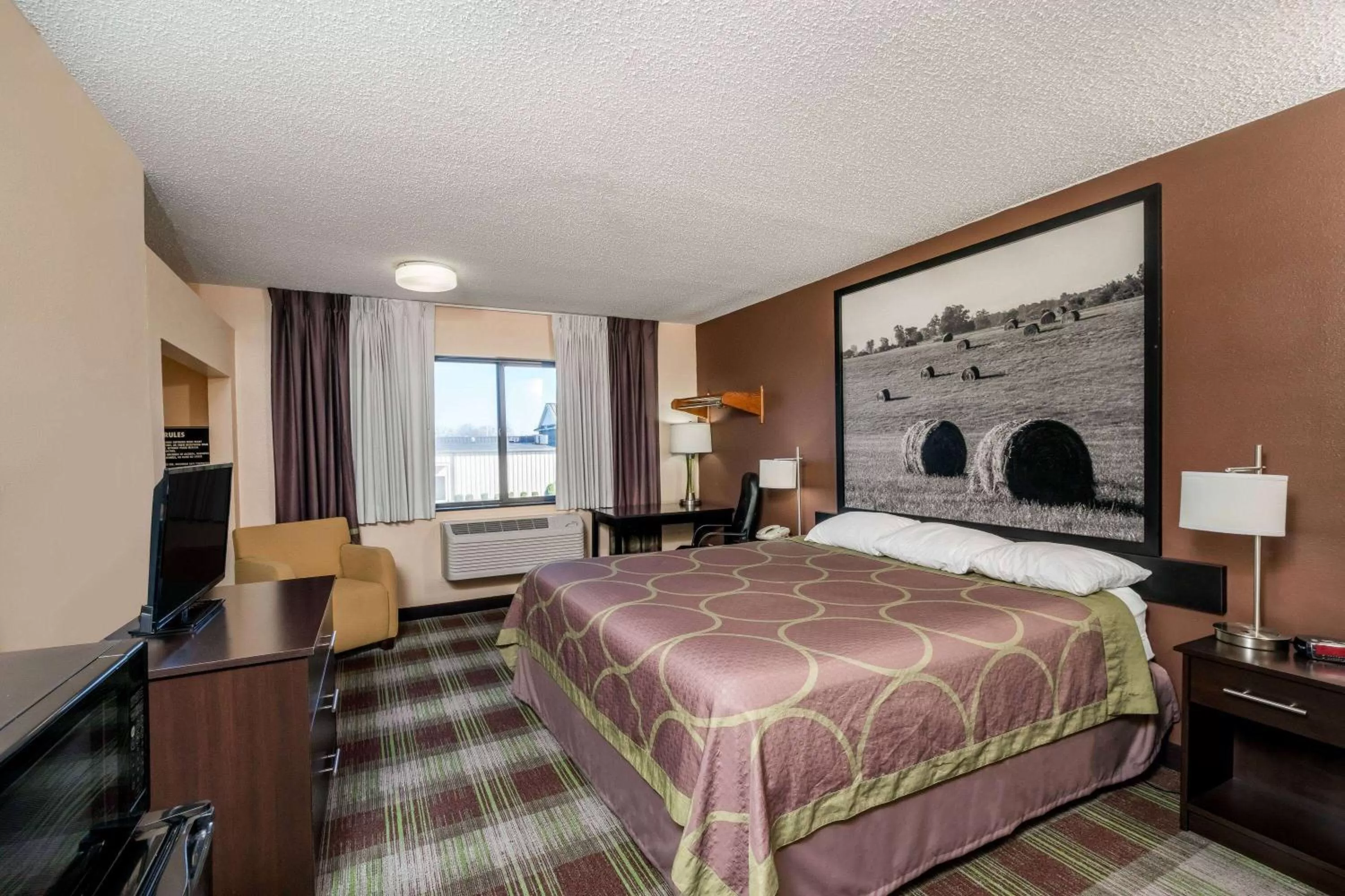 Photo of the whole room, Bed in Super 8 by Wyndham Campbellsville KY